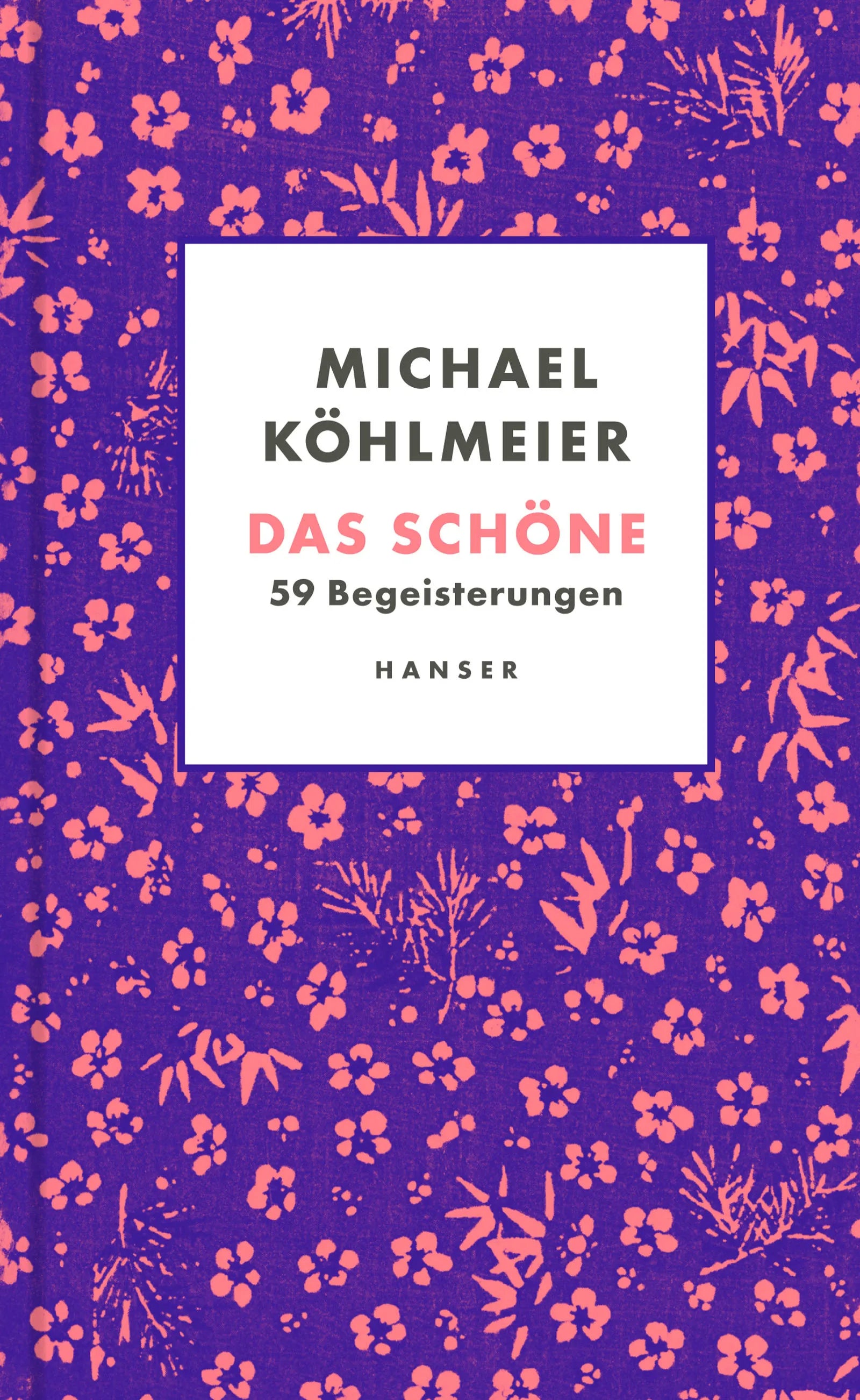 Cover: Das Schöne (E-Book) von Michael Köhlmeier