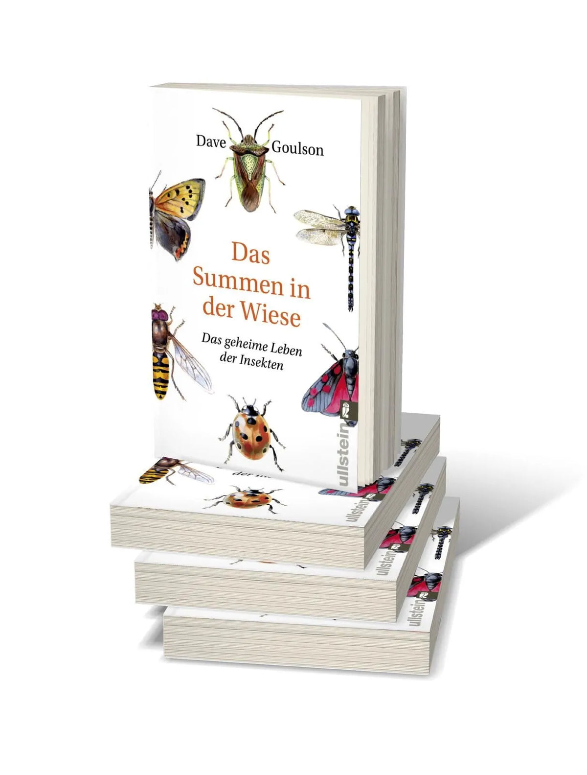 Detailansicht: Das Summen in der Wiese (Taschenbuch)