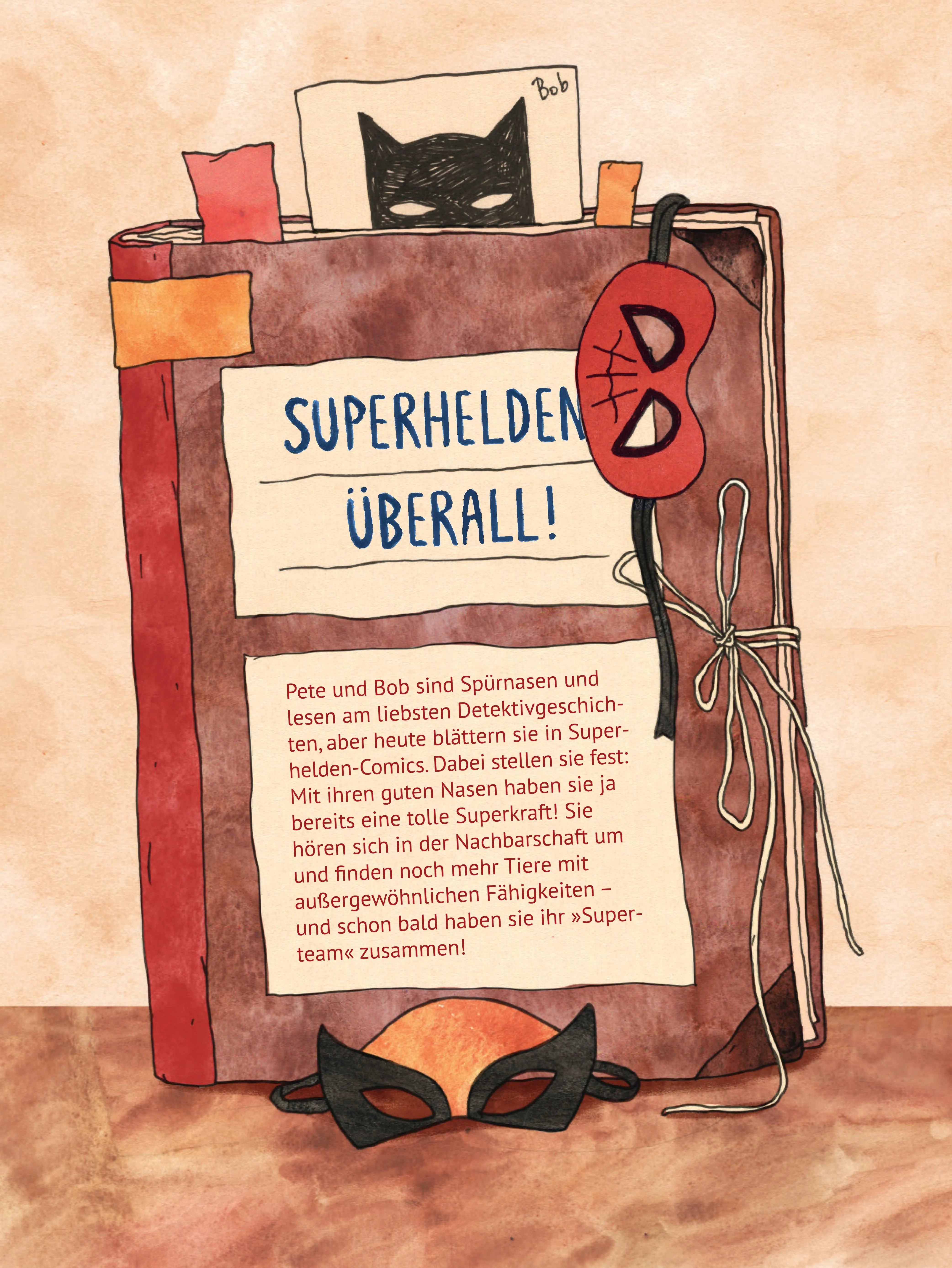 Buchrückseite von 'Das Superteam 1' mit Klappentext - Gebundene Ausgabe