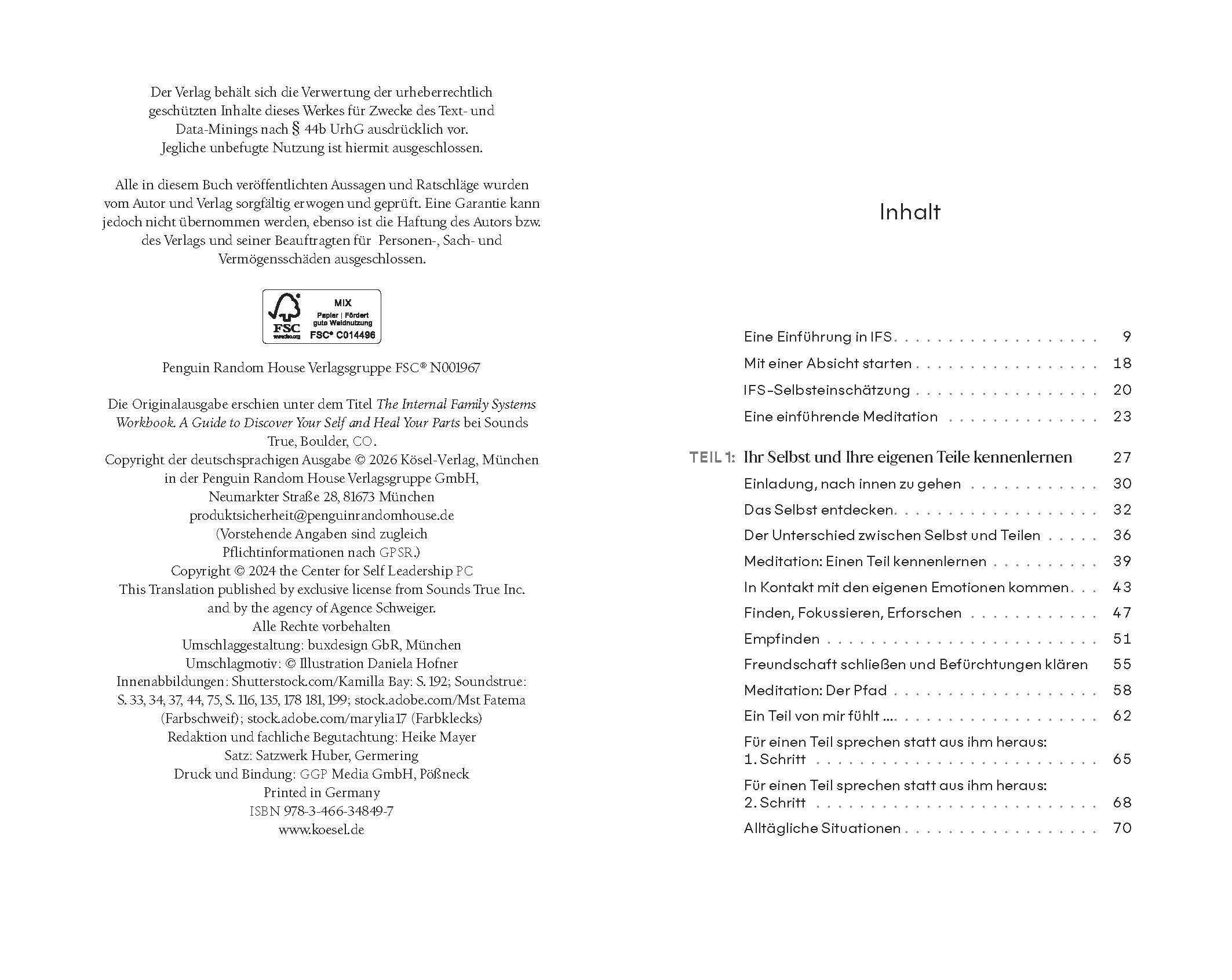 Detailansicht: Das System der Inneren Familie verstehen – Arbeitsbuch (Hardcover)