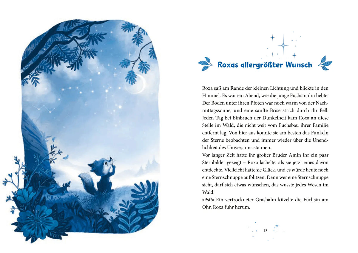 Detailansicht: Das Tal der Wünsche (Hardcover)