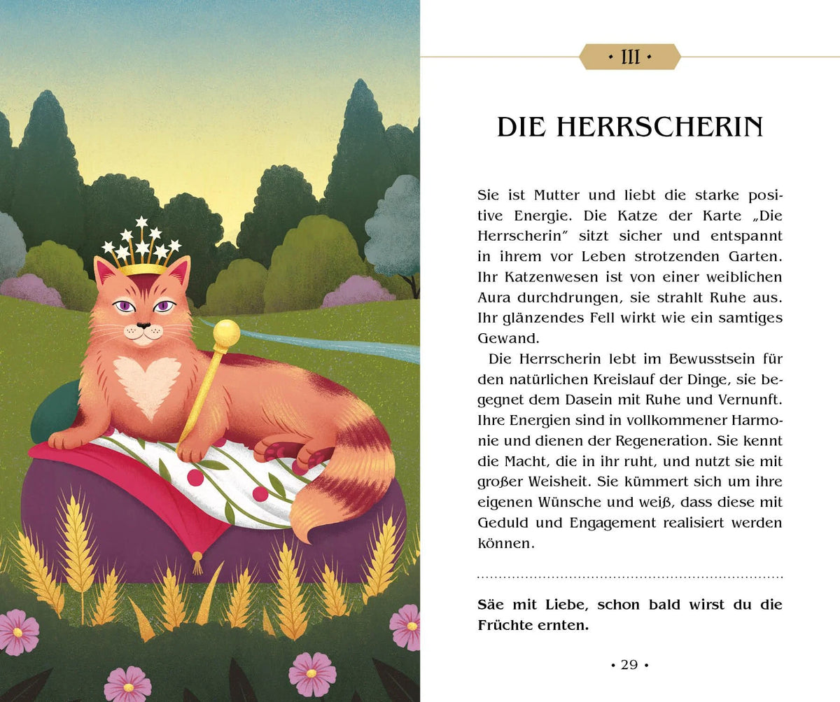 Das Tarot magischer Katzen (VIVIDA) – Ansicht