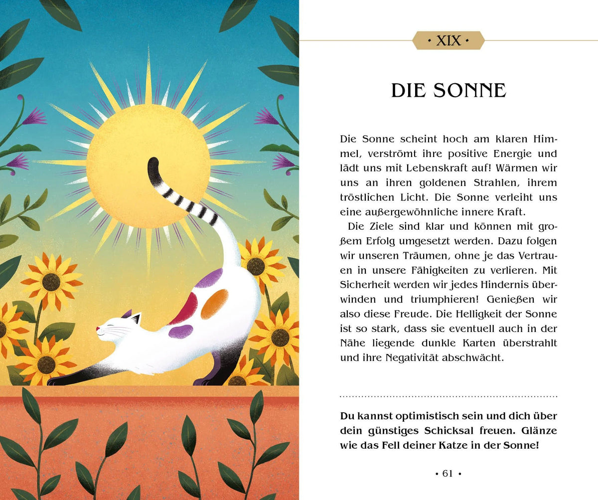 Das Tarot magischer Katzen (VIVIDA) – Ansicht