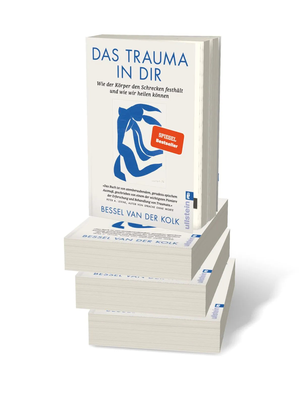 Detailansicht: Das Trauma in dir (Paperback)