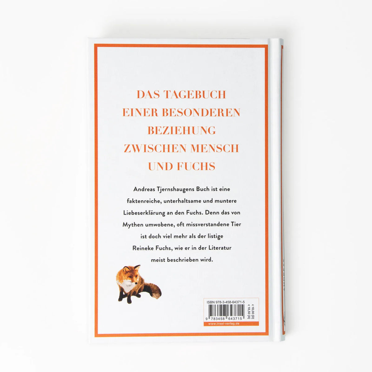 Buchrückseite von 'Das verborgene Leben der Füchse' mit Klappentext - Gebundene Ausgabe