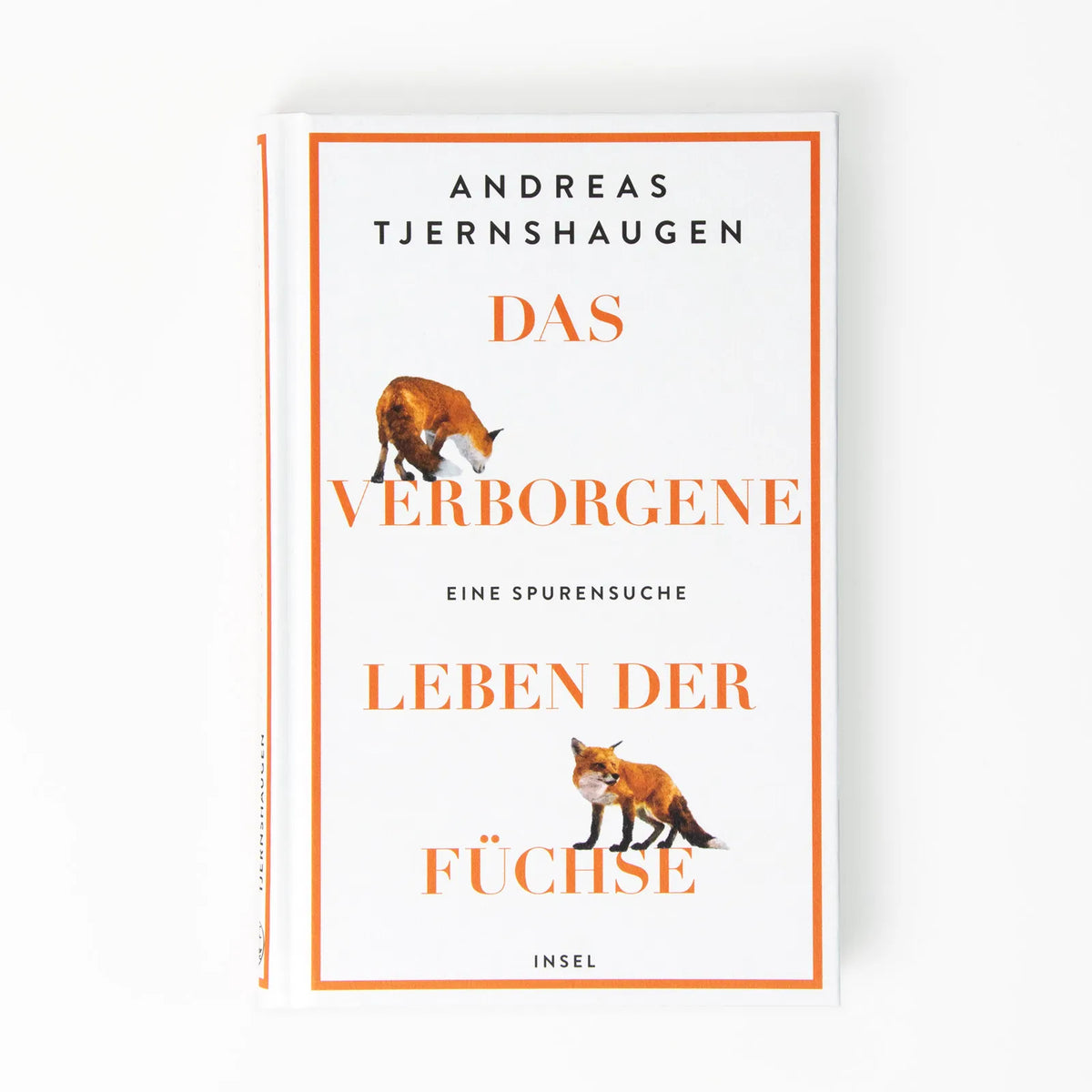 Abbildung von 'Das verborgene Leben der Füchse'