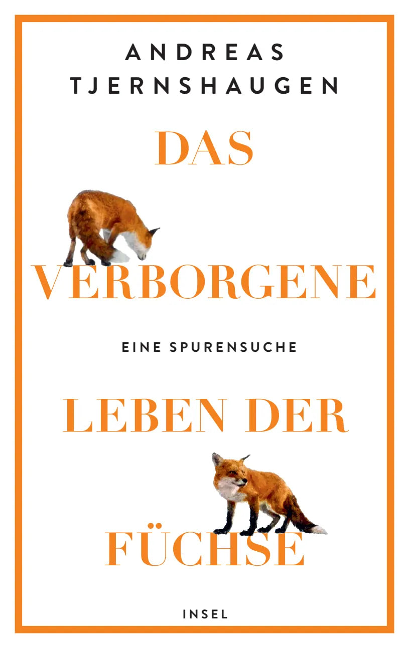 Buchcover von 'Das verborgene Leben der Füchse' - Gebundene Ausgabe von Andreas Tjernshaugen