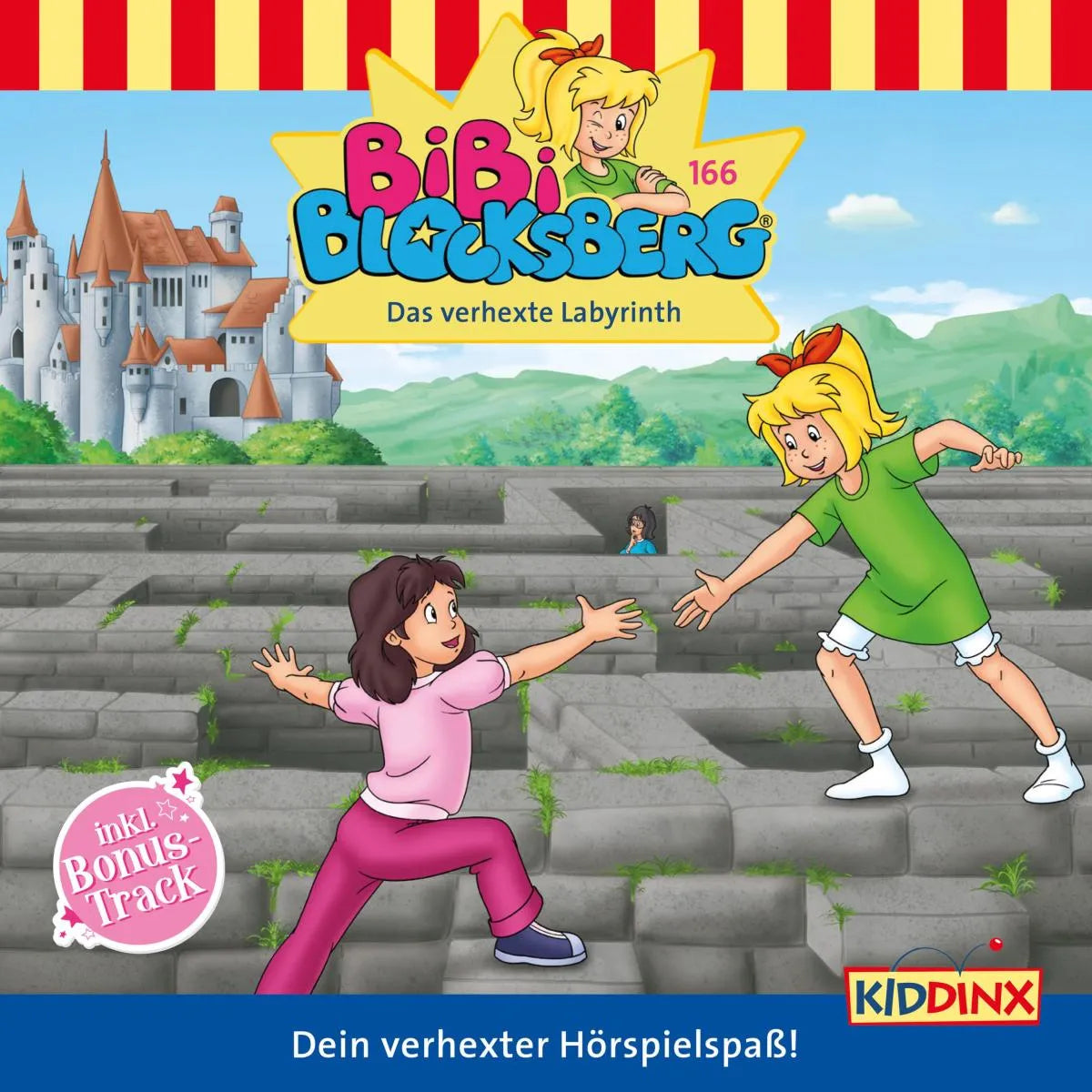 Cover: Das verhexte Labyrinth (Hörbuch Download) von Sebastian Schlecht