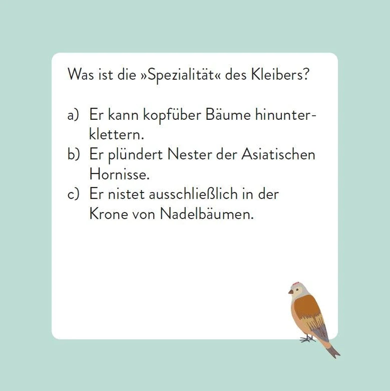Das Vogel-Quiz – Ansicht