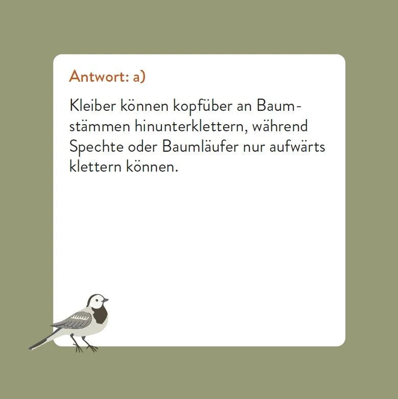 Das Vogel-Quiz – Ansicht
