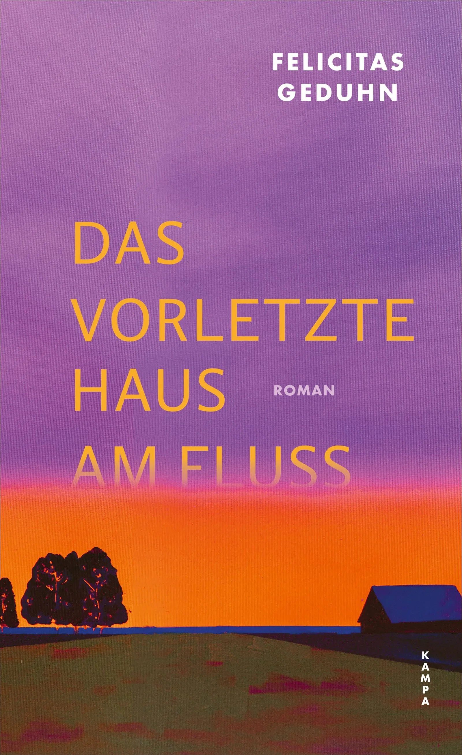 Cover: Das vorletzte Haus am Fluss (Hardcover) von Felicitas Geduhn