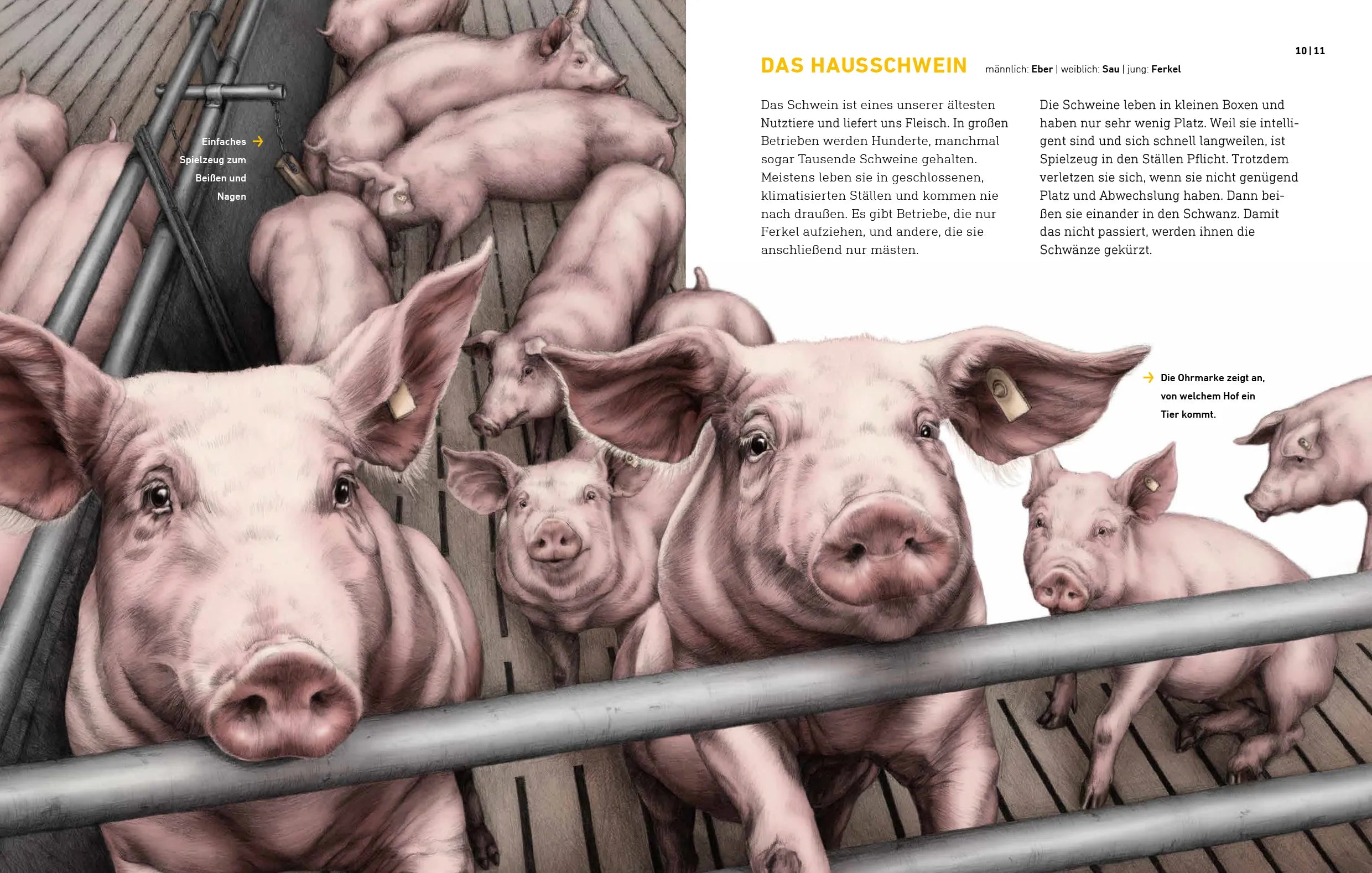 Abbildung von 'Das wahre Leben der Bauernhoftiere'