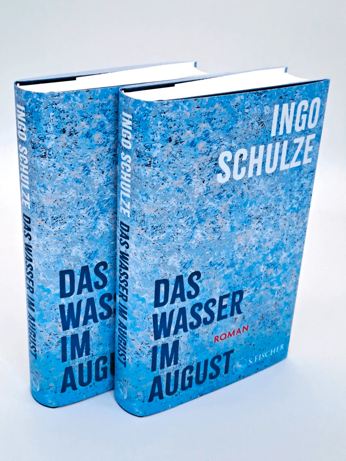 Detailansicht: Das Wasser im August (Hardcover)