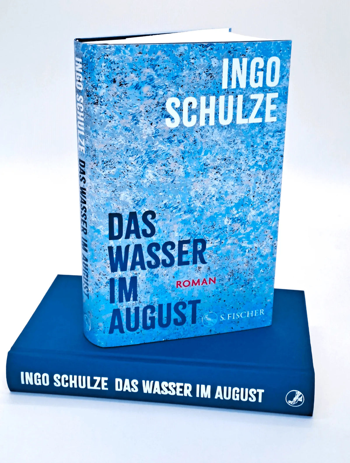 Detailansicht: Das Wasser im August (Hardcover)