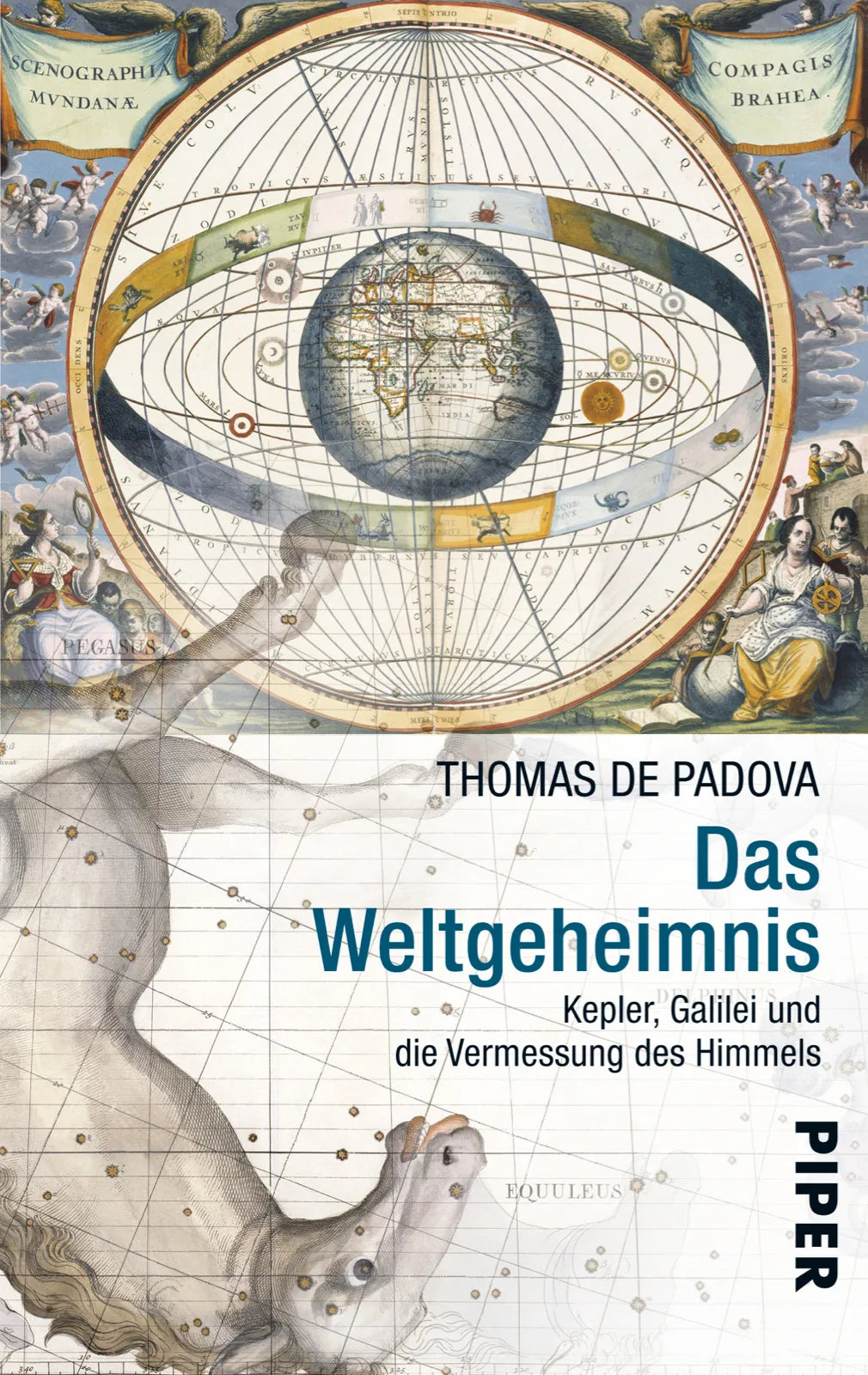 Buchcover von 'Das Weltgeheimnis' - Taschenbuch von Thomas de Padova
