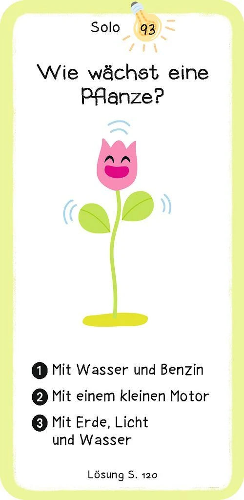 Das Wie-Quiz – Ansicht