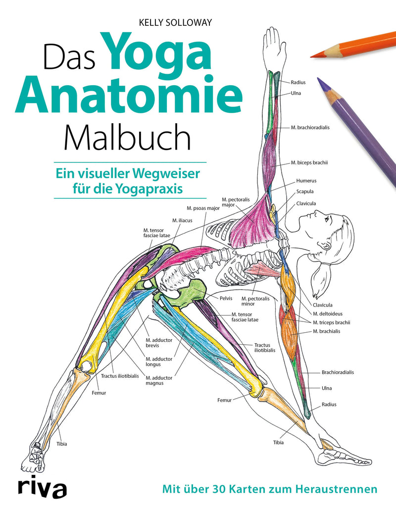 Das Yoga-Anatomie-Malbuch