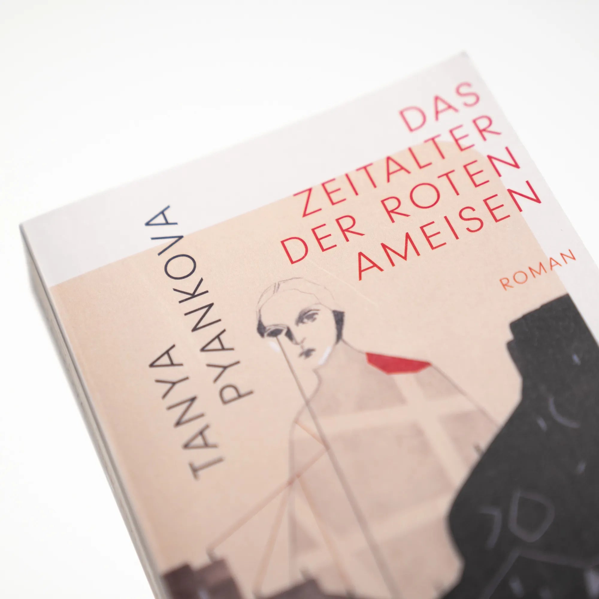 Produktansicht: Das Zeitalter der Roten Ameisen (Taschenbuch)