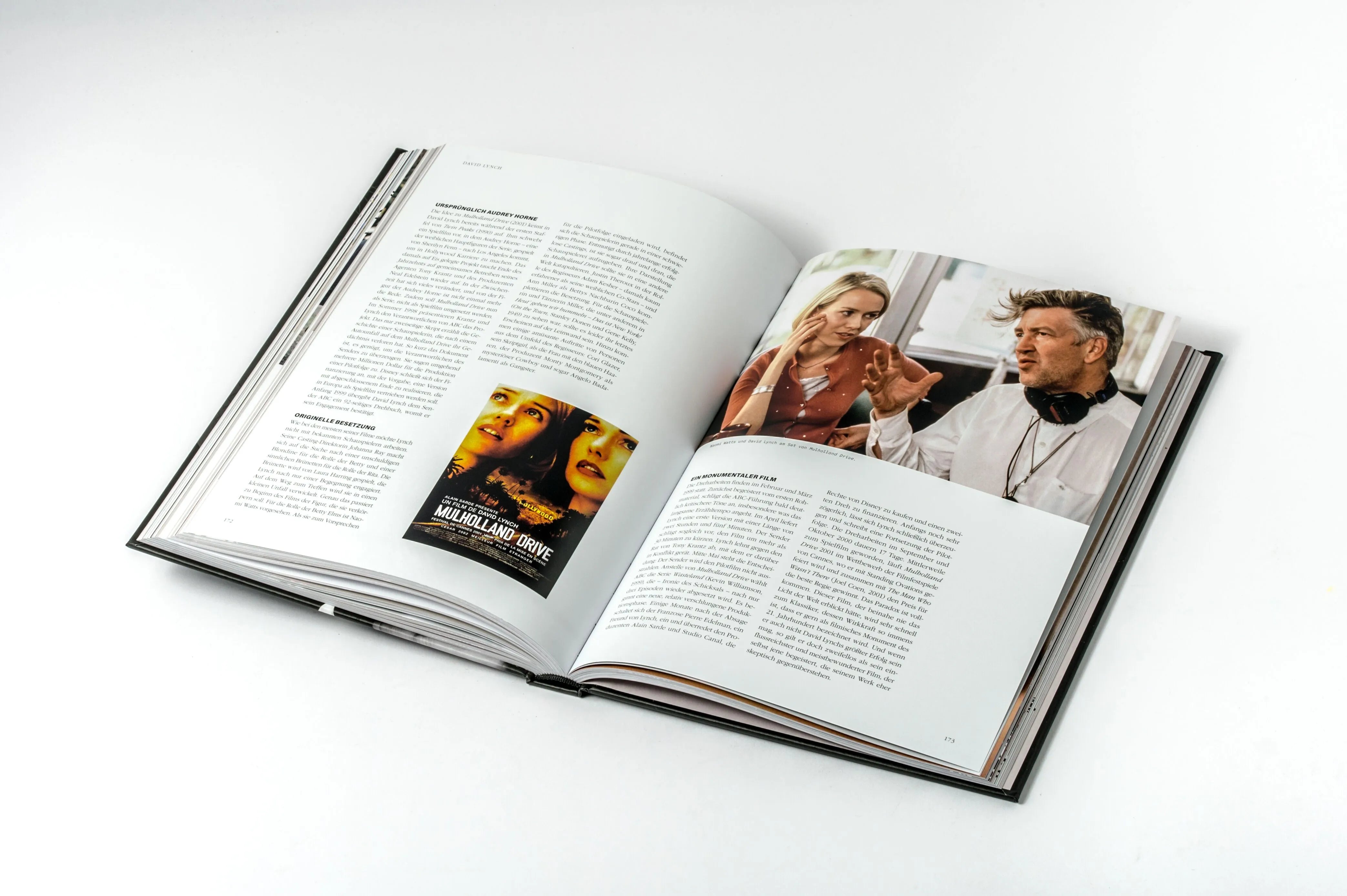Detailansicht: David Lynch - Das Gesamtkunstwerk (Hardcover)