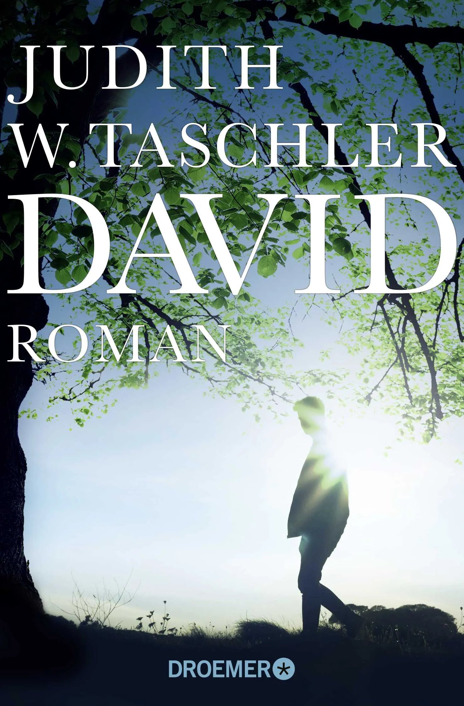 Buchcover von 'David' - Taschenbuch von Judith W. Taschler