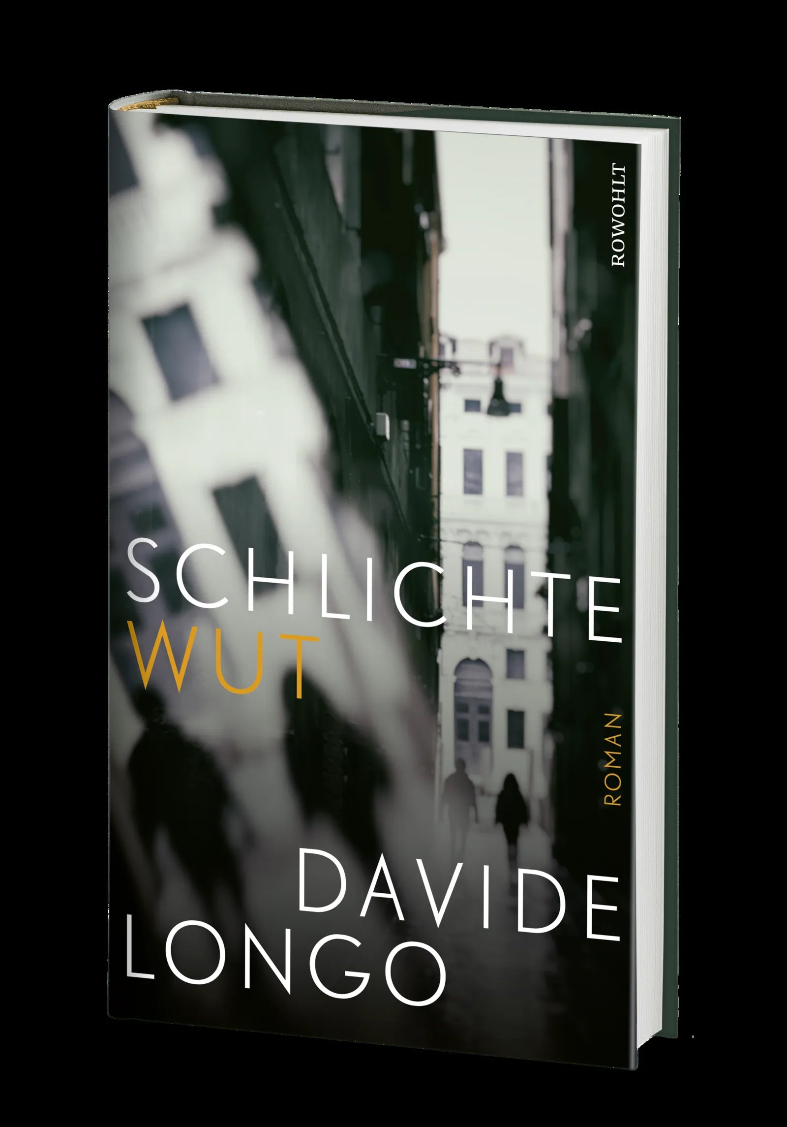 Produktansicht: Schlichte Wut (Gebundene Ausgabe)