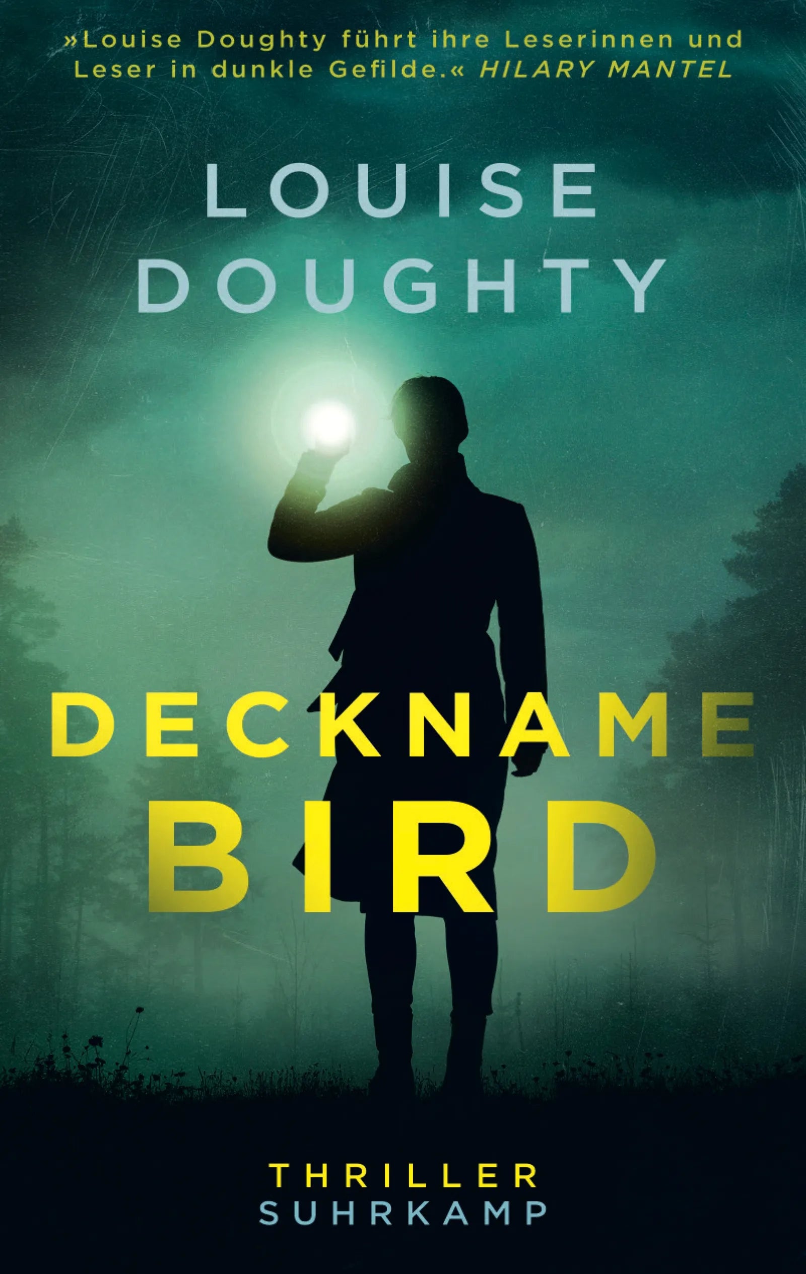 Cover: Deckname: Bird (E-Book) von Louise Doughty