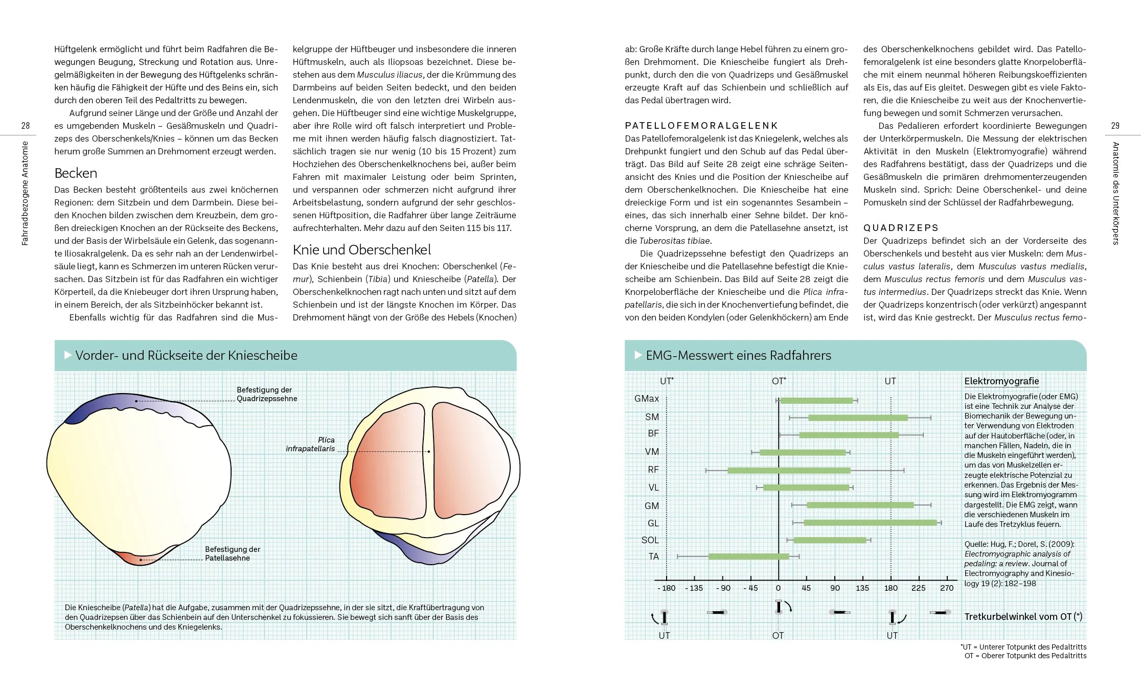 Innenansicht von 'Dein Bike, dein Fitting' - Taschenbuch
