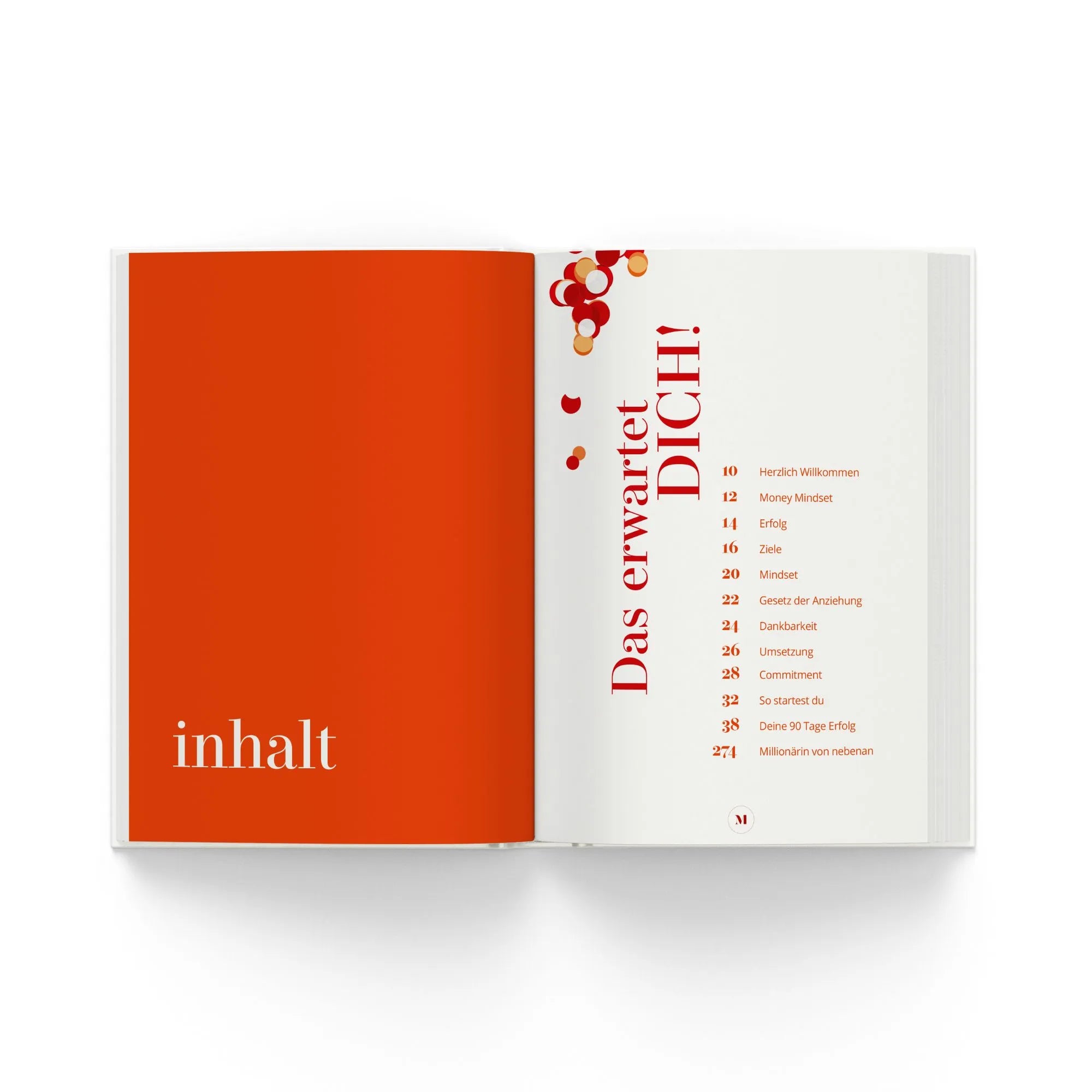 Detailansicht: Dein Erfolgsjournal für die nächste Millionärin von nebenan (Taschenbuch)