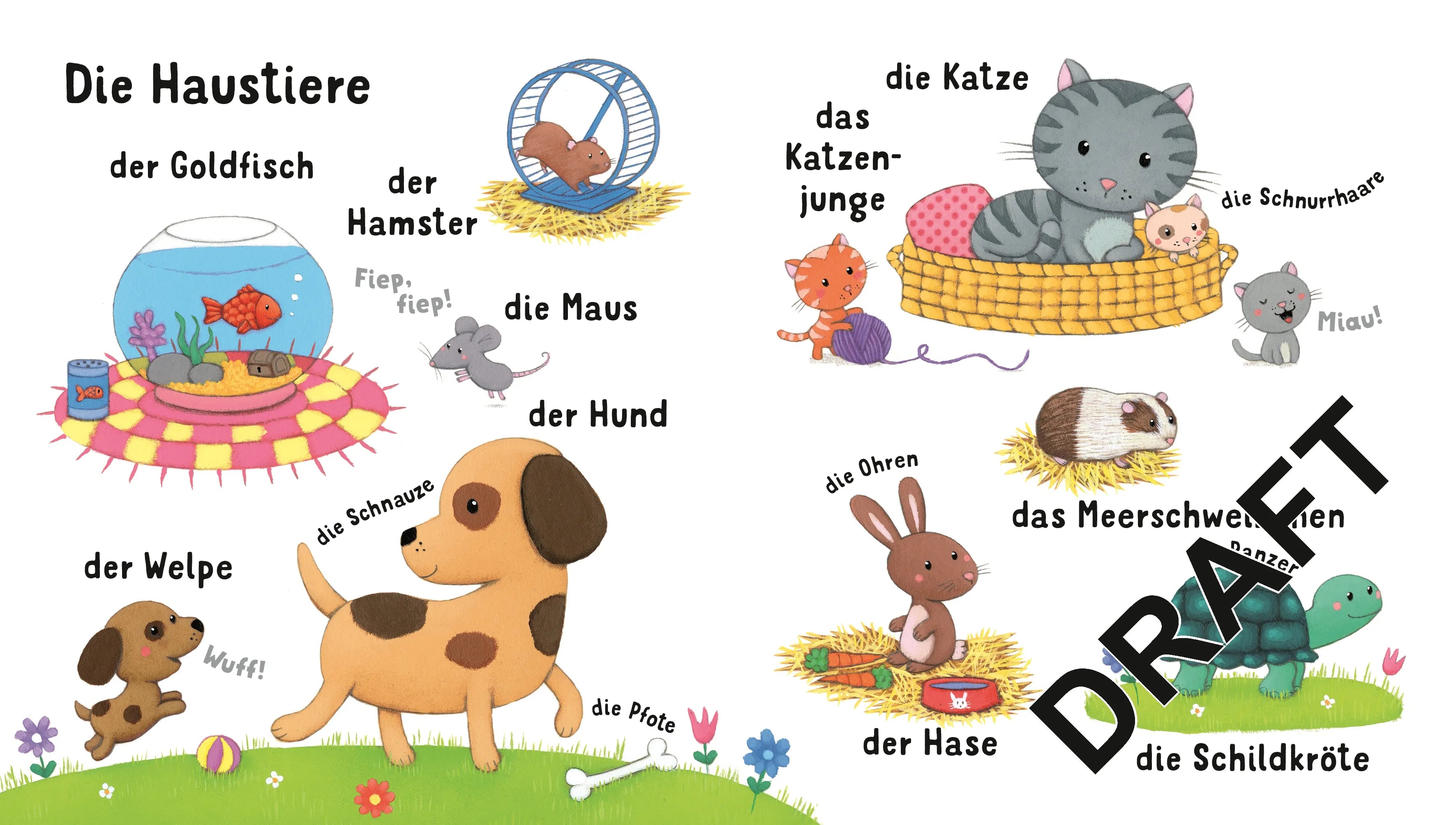 Produktansicht: Deine Welt Wort für Wort: Tiere (Gebundene Ausgabe)