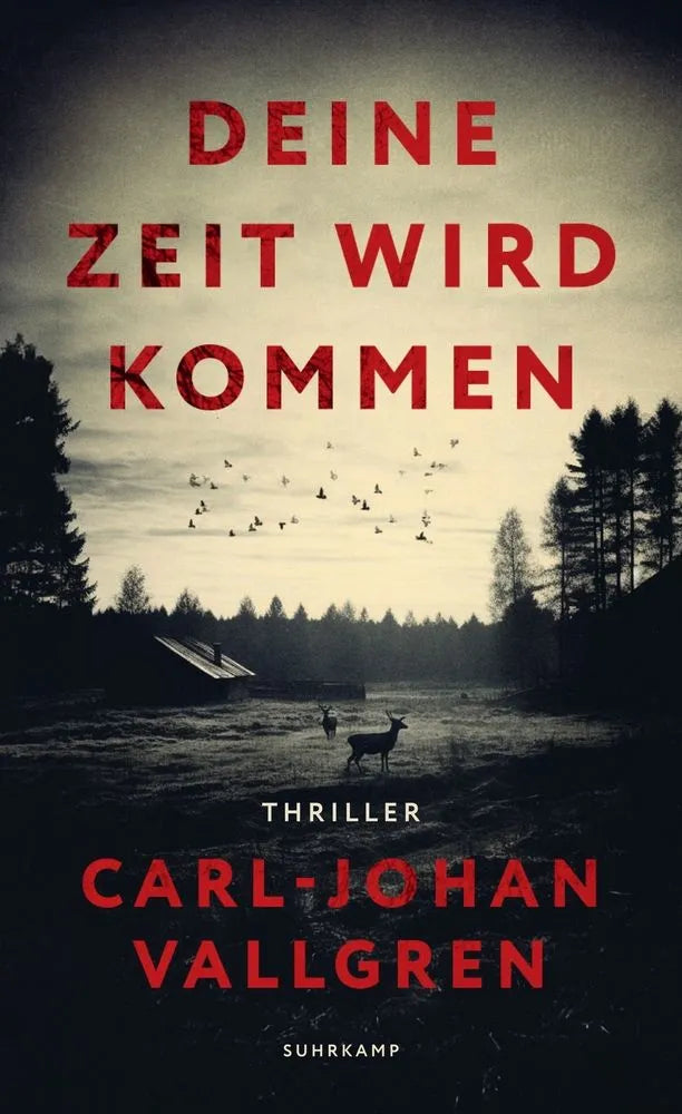 Cover: Deine Zeit wird kommen (E-Book) von Carl-Johan Vallgren