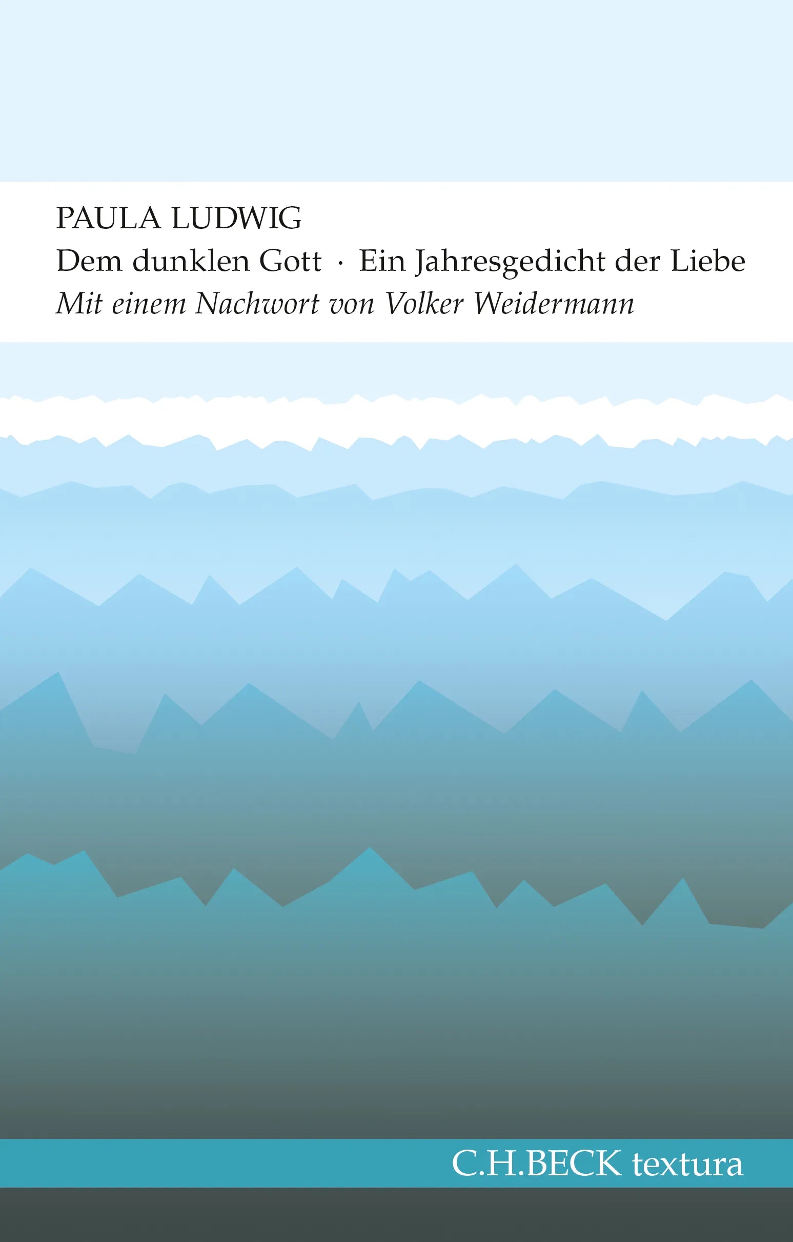 Buchcover von 'Dem dunklen Gott' - Taschenbuch von Paula Ludwig