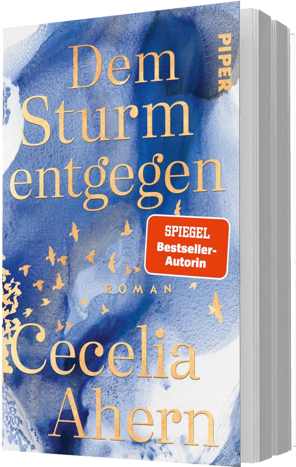 Detailansicht: Dem Sturm entgegen (Taschenbuch)