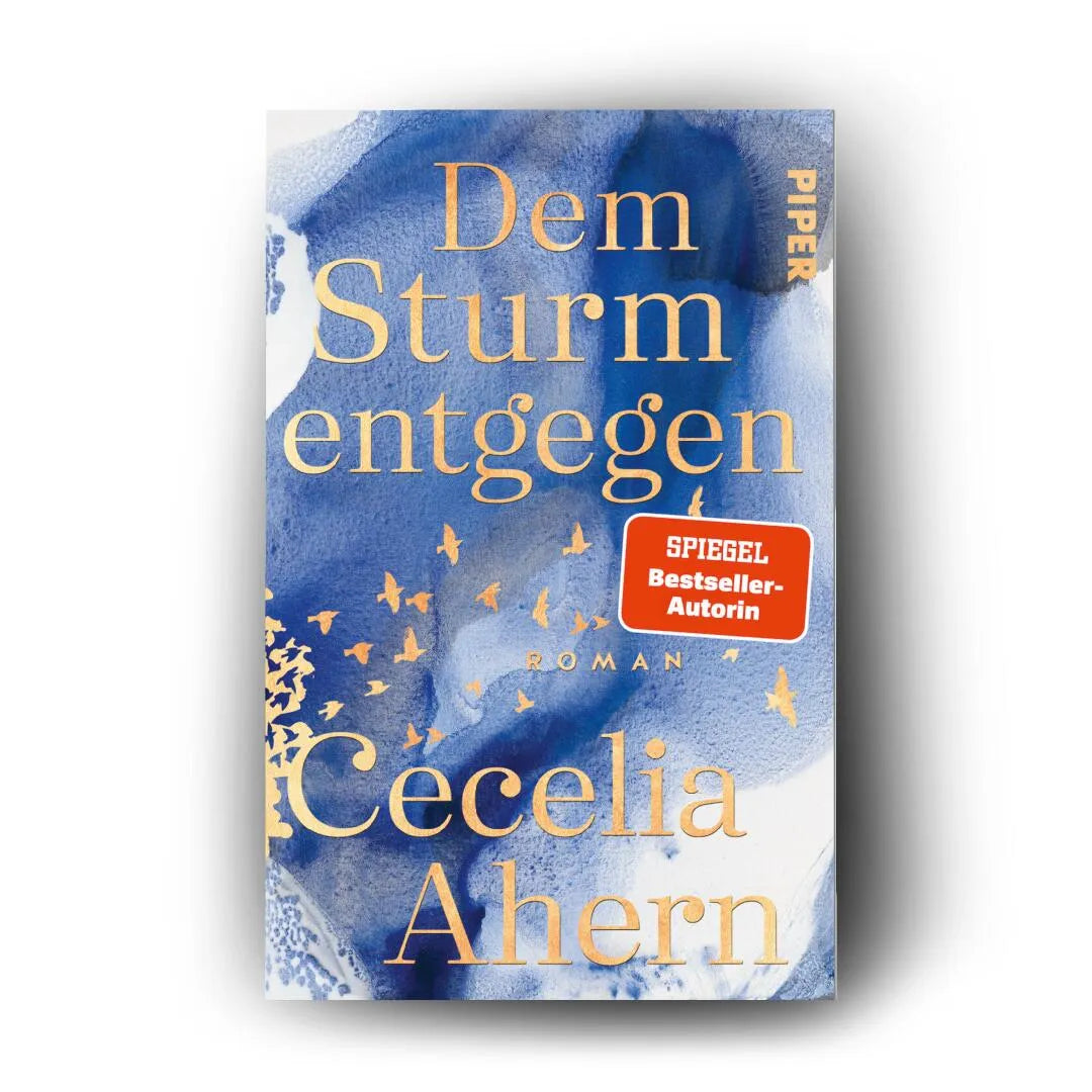 Detailansicht: Dem Sturm entgegen (Taschenbuch)