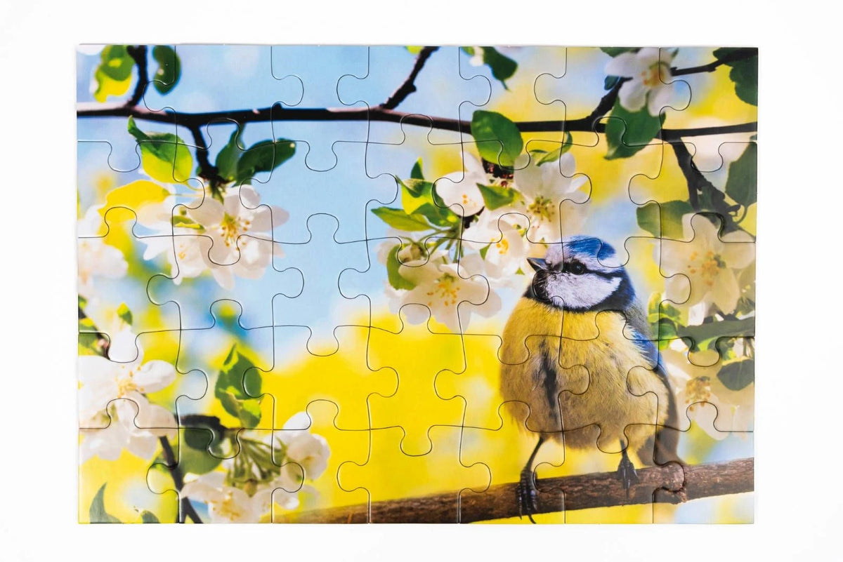 Demenz-Puzzle: Blaumeise im Frühling. Das Demenz-Puzzle-Spiel mit 35 Puzzle-Teilen im XXL-Format. – Ansicht