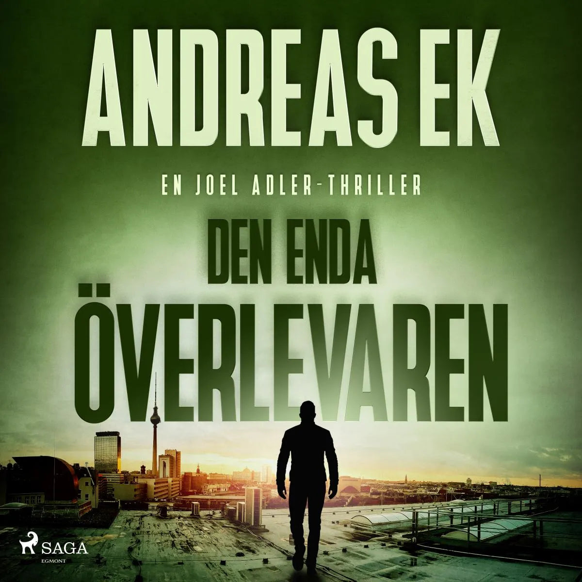 Cover: Den enda överlevaren (Hörbuch Download) von Andreas Ek