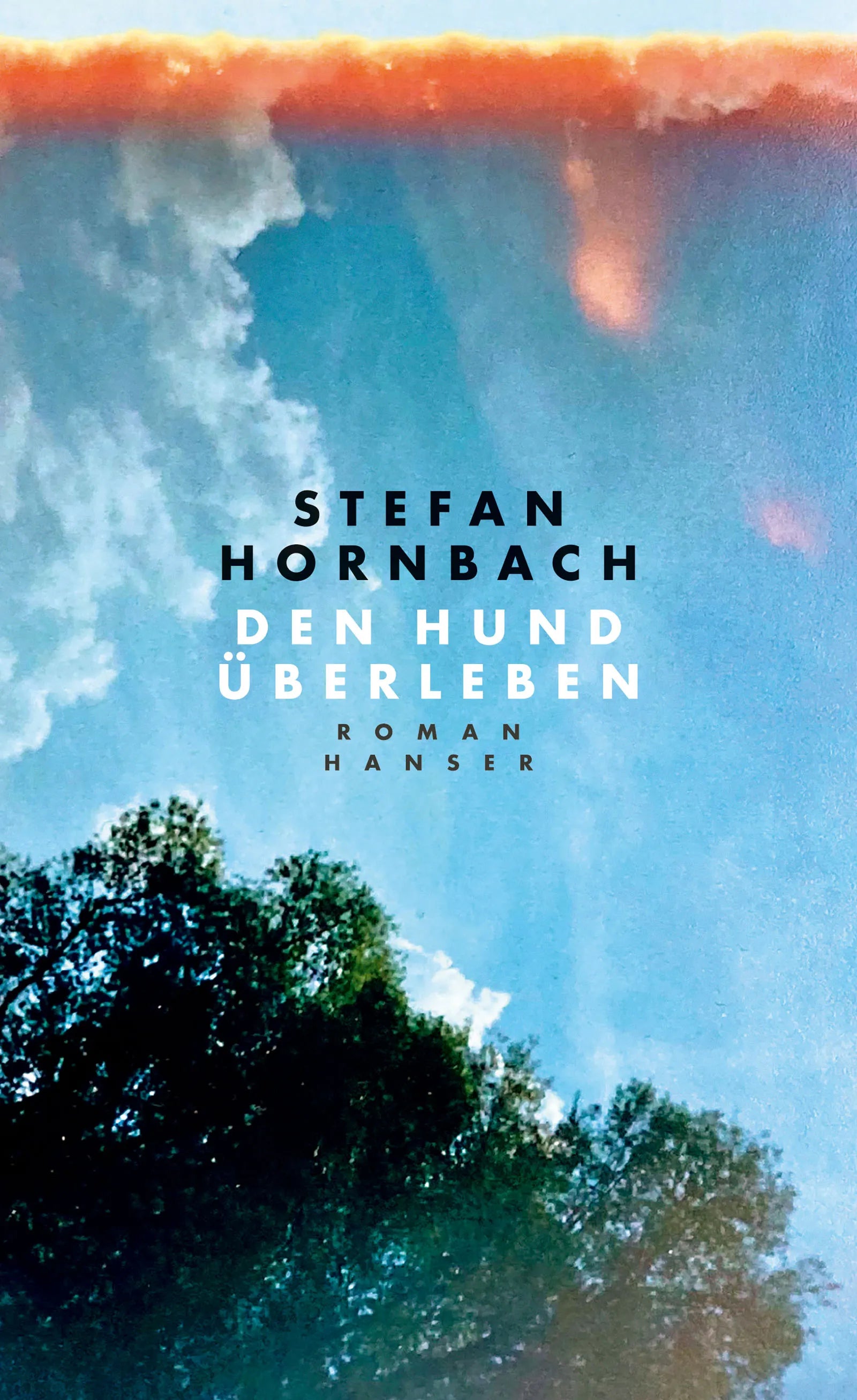 Buchcover von 'Den Hund überleben' - Gebundene Ausgabe von Stefan Hornbach
