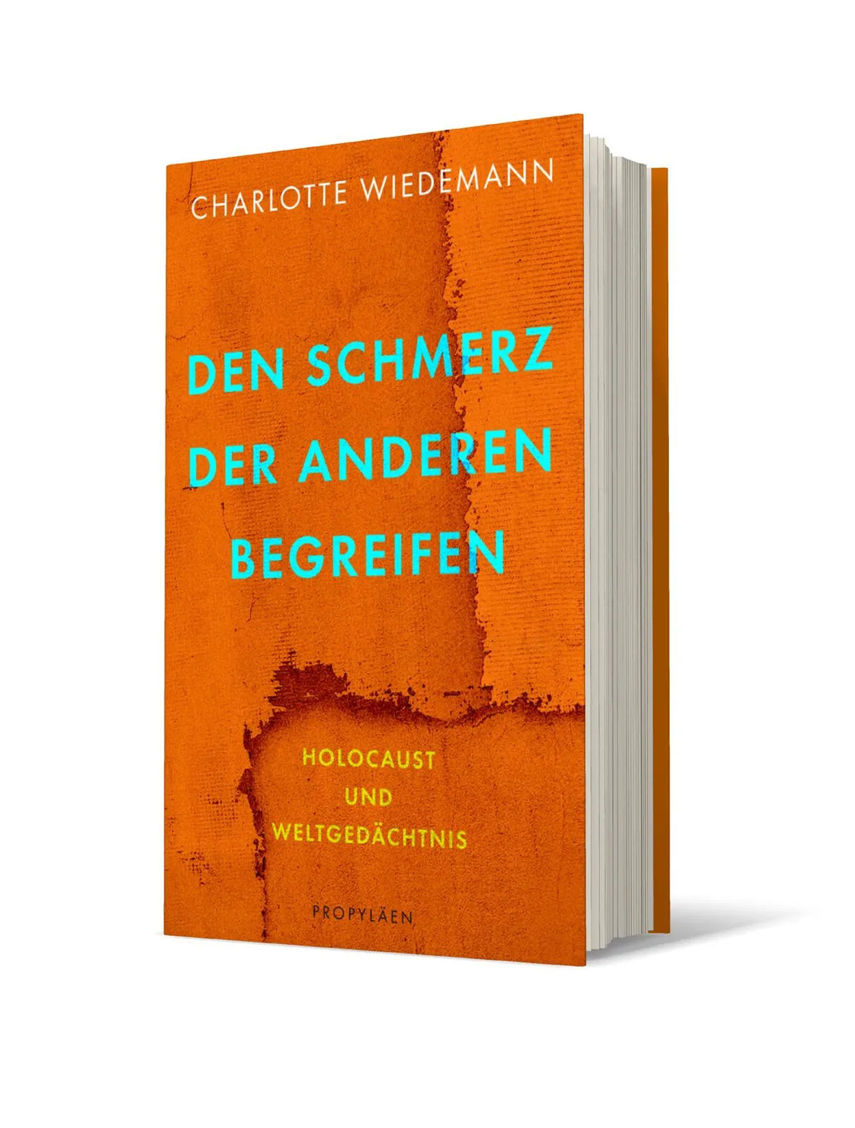 Buchcover von 'Den Schmerz der Anderen begreifen' - Gebundene Ausgabe von Charlotte Wiedemann