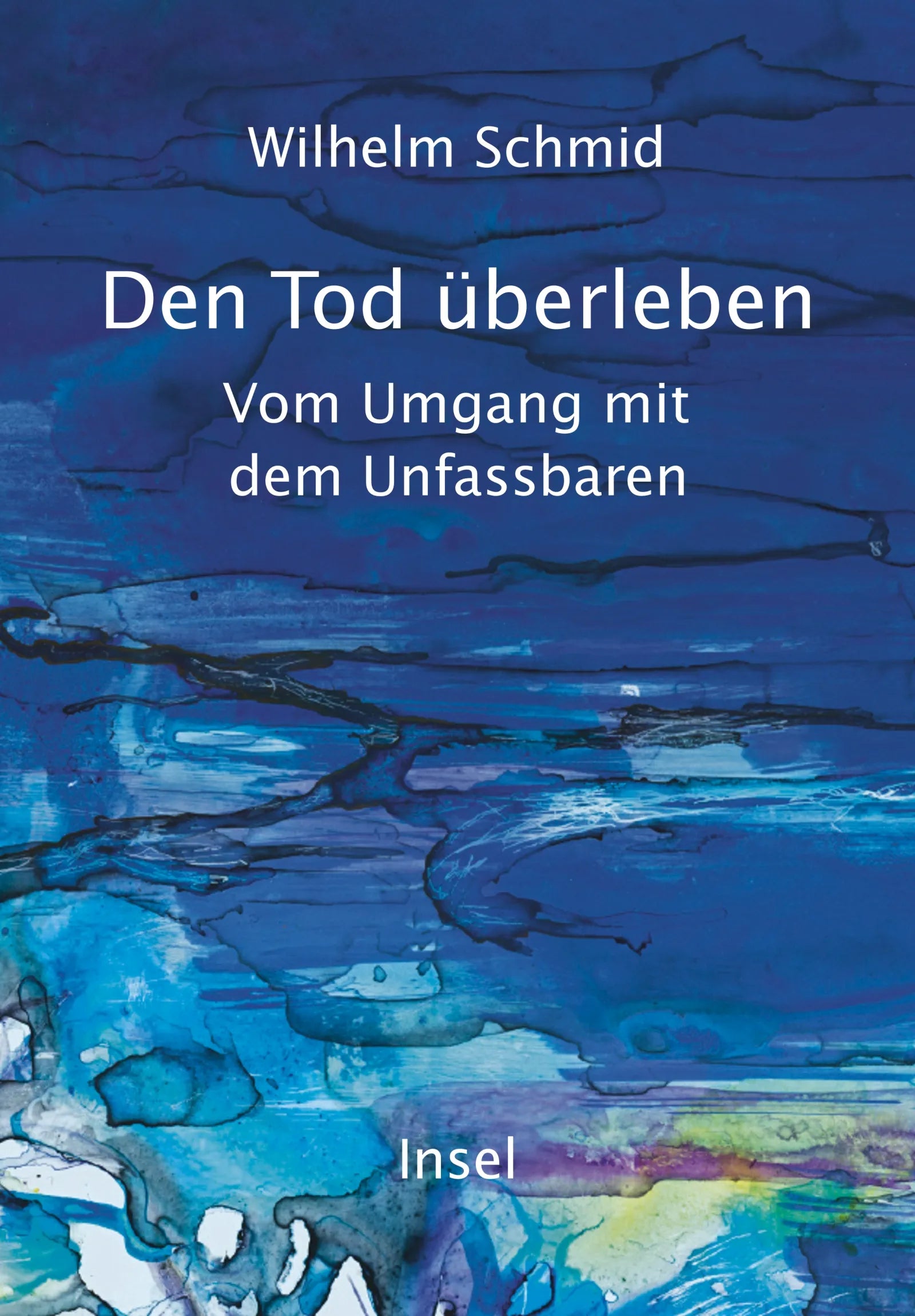 Cover: Den Tod überleben (E-Book) von Wilhelm Schmid