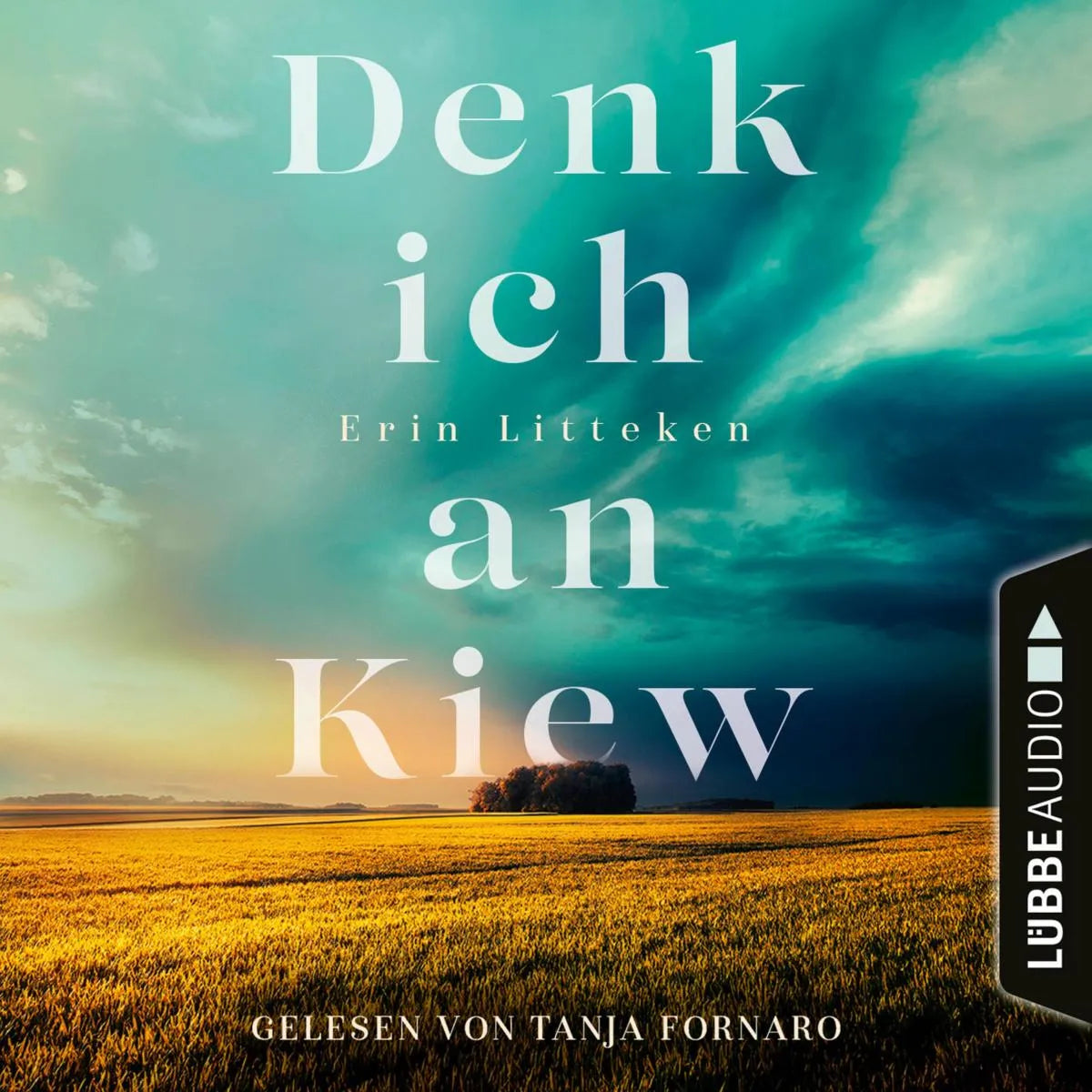 Cover: Denk ich an Kiew (Hörbuch Download) von Erin Litteken