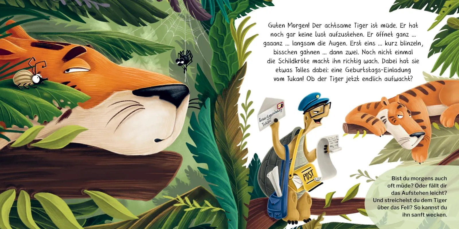 Detailansicht: Der achtsame Tiger 2: So ein Kuddelmuddel! (Hardcover)