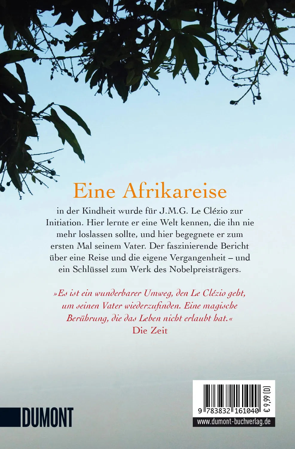 Buchrückseite von 'Der Afrikaner' mit Klappentext - Taschenbuch