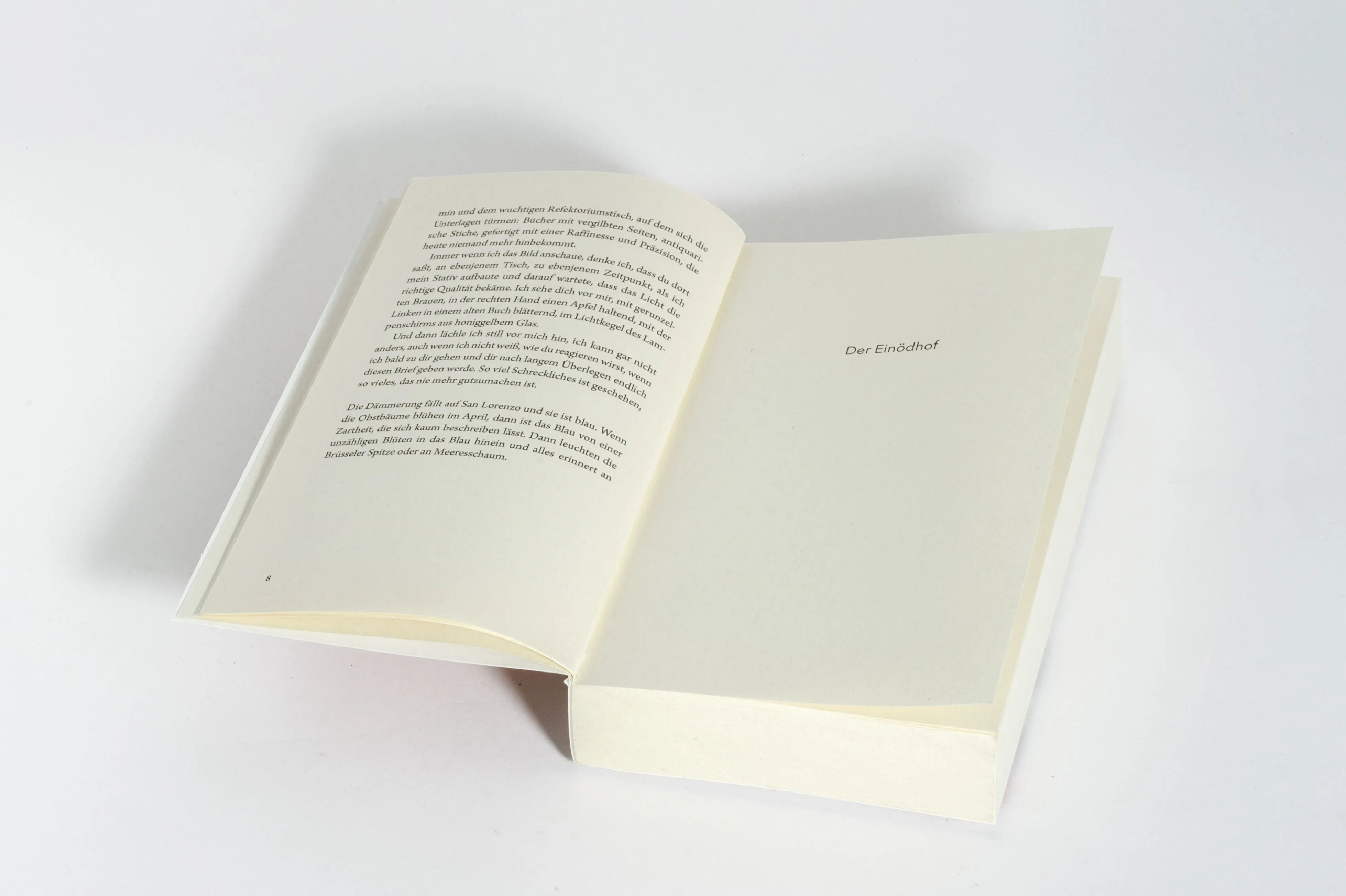Detailansicht: Der Apfelsammler (Taschenbuch)