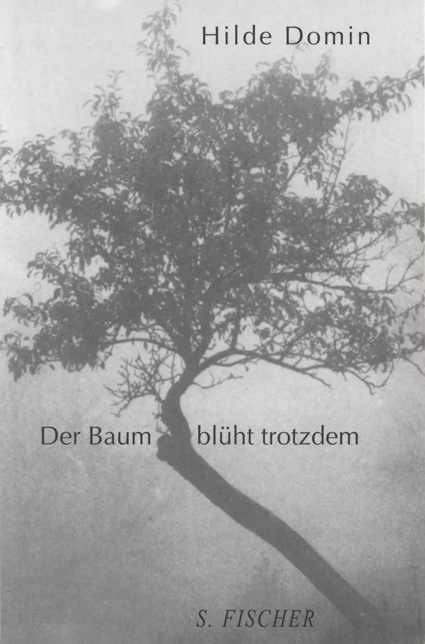 Buchcover von 'Der Baum blüht trotzdem' - Gebundene Ausgabe von Hilde Domin