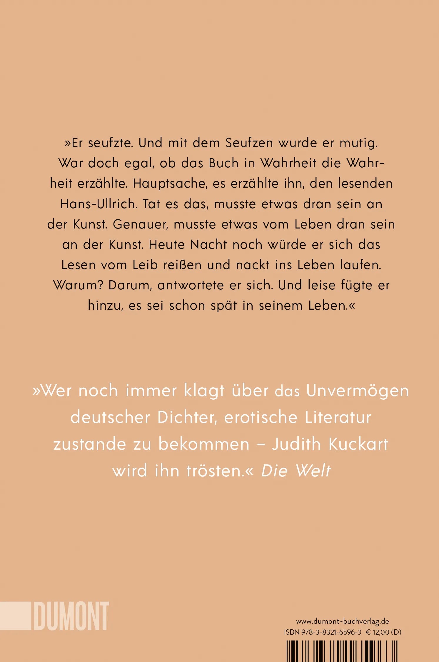 Buchrückseite von 'Der Bibliothekar' mit Klappentext - Taschenbuch