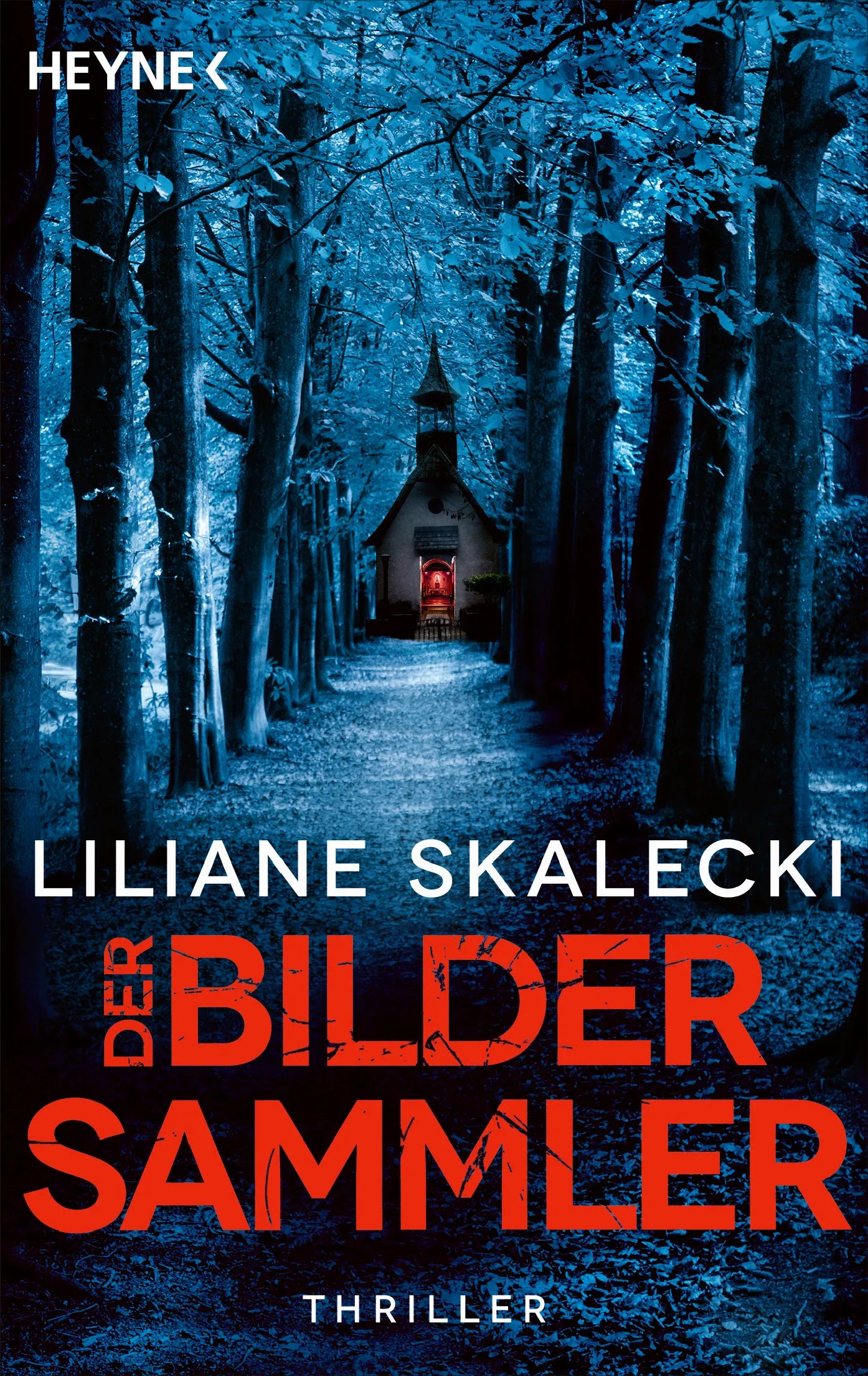 Cover: Der Bildersammler (E-Book) von Liliane Skalecki