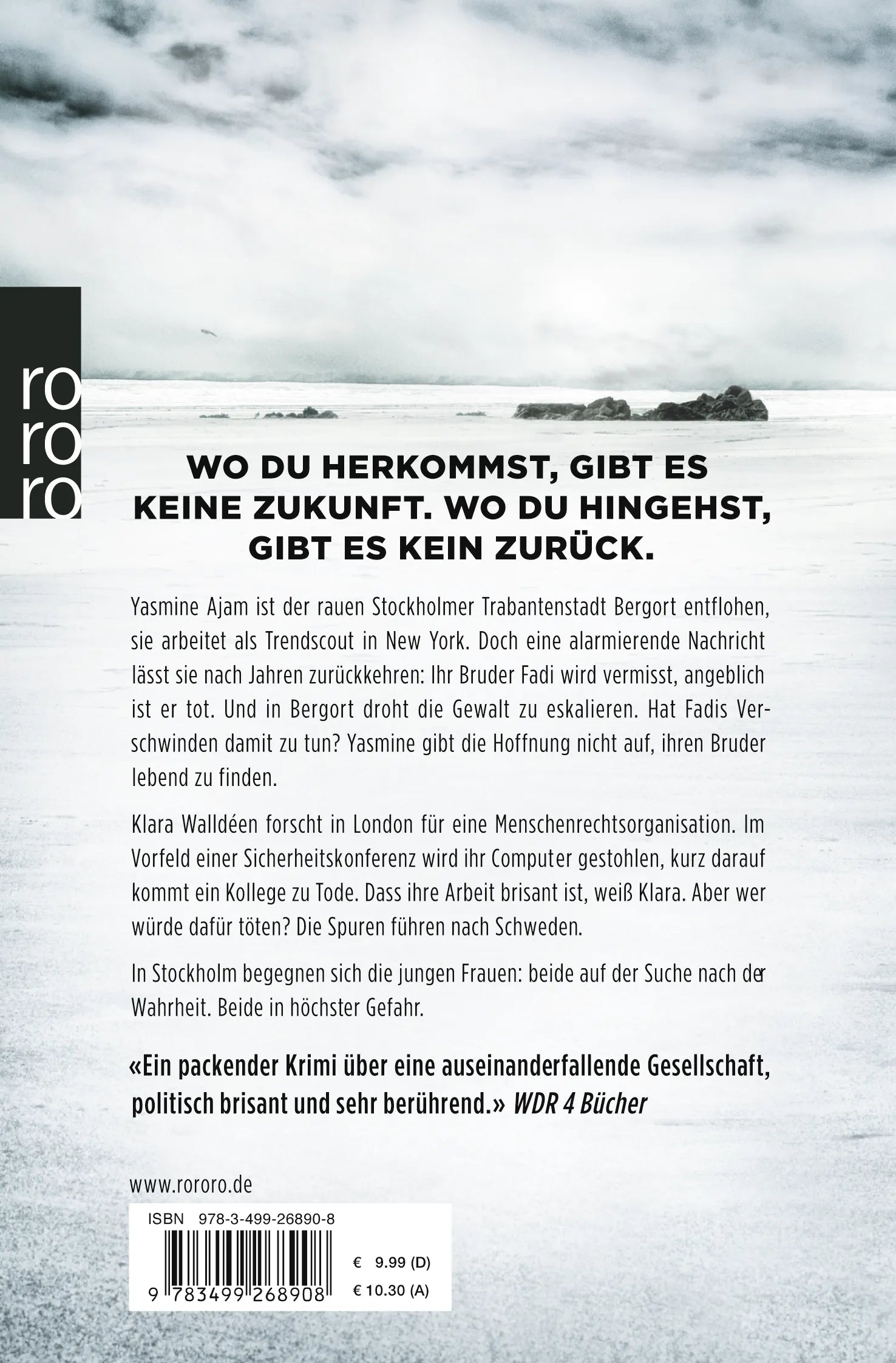 Buchrückseite von 'Der Bruder' mit Klappentext - Taschenbuch