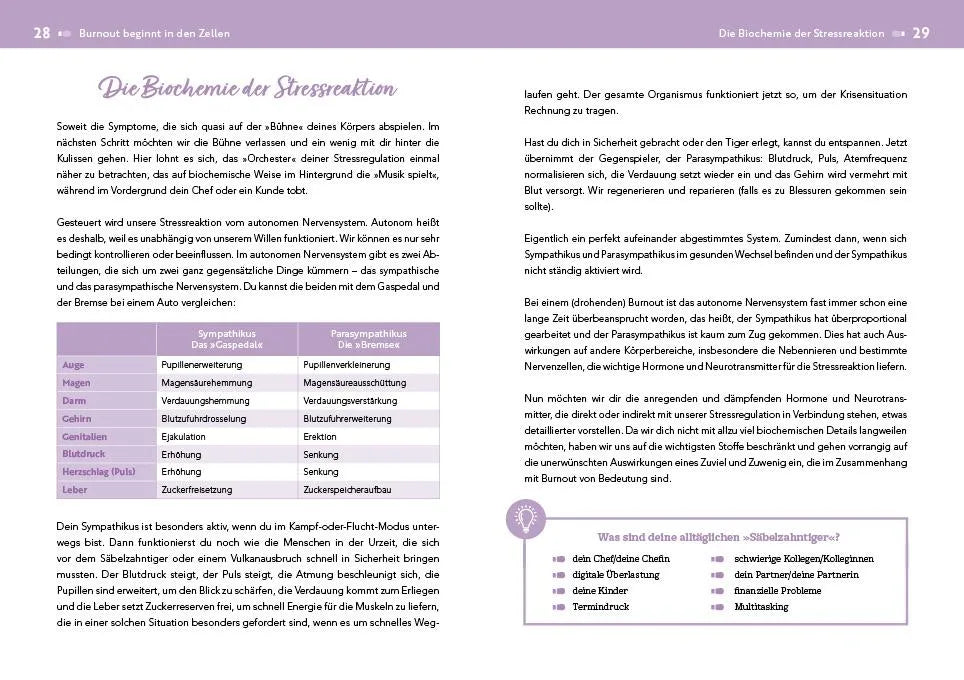 Innenansicht von 'Der Burnout-Irrtum' - Taschenbuch