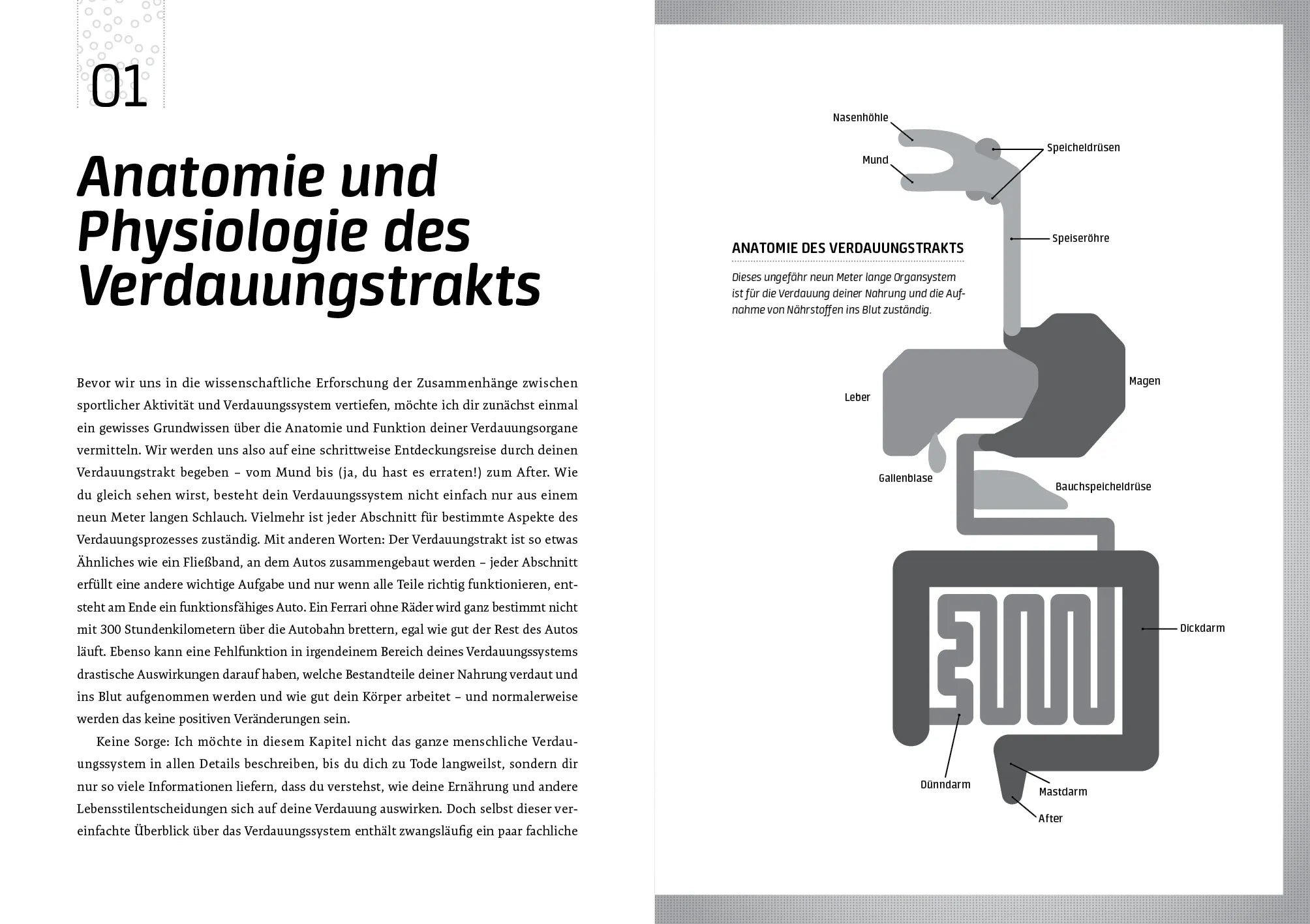 Innenansicht von 'Der Darm trainiert mit' - Taschenbuch