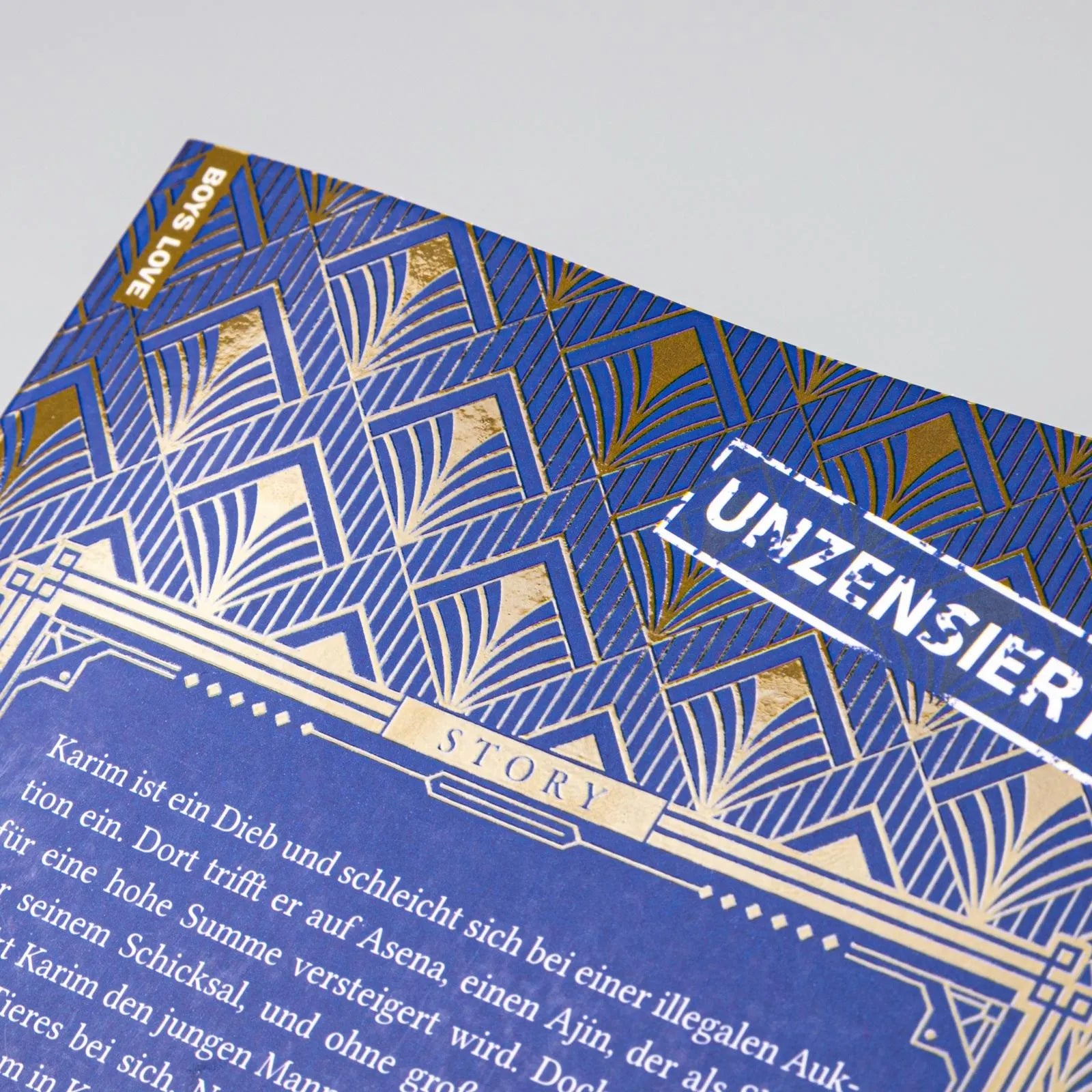 Produktansicht: Der Dieb und das Biest (Taschenbuch)