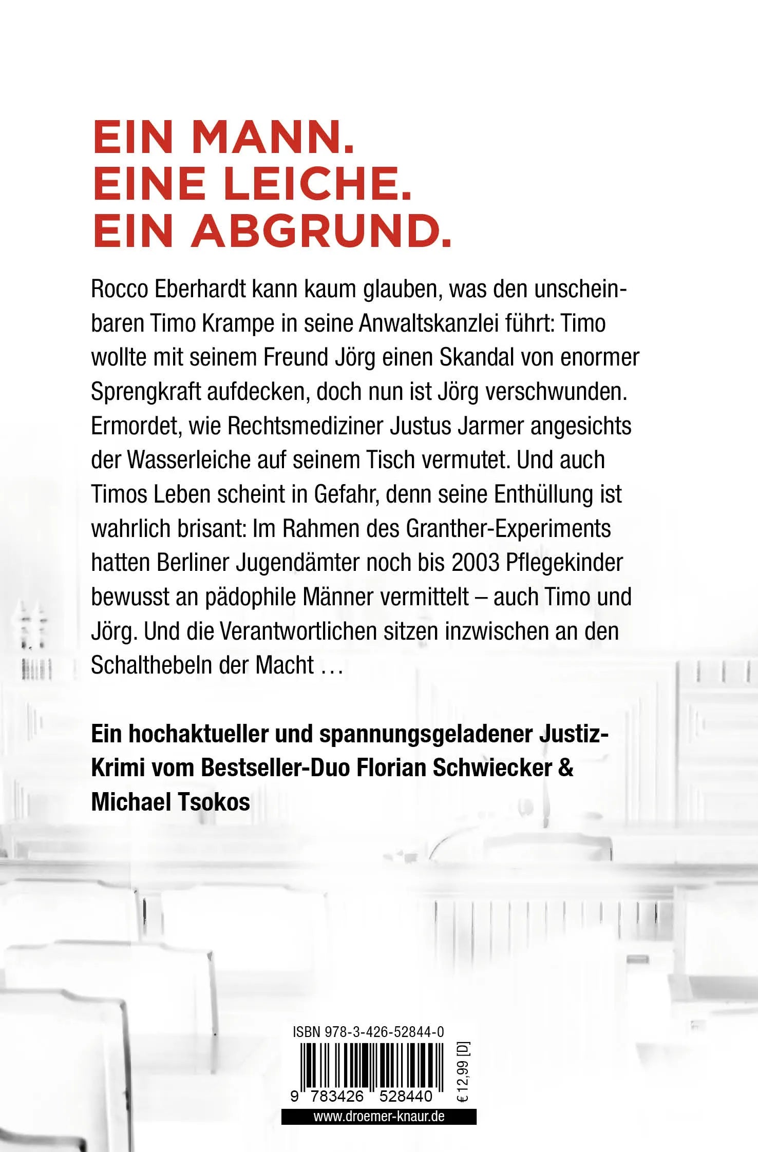 Buchrückseite von 'Der dreizehnte Mann' mit Klappentext - Taschenbuch